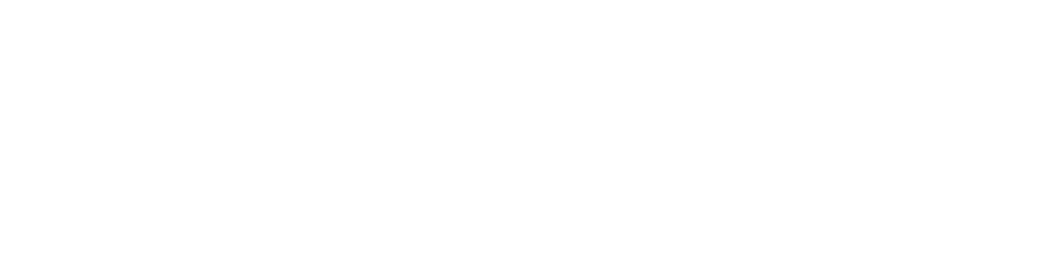 Profile Solutions Group