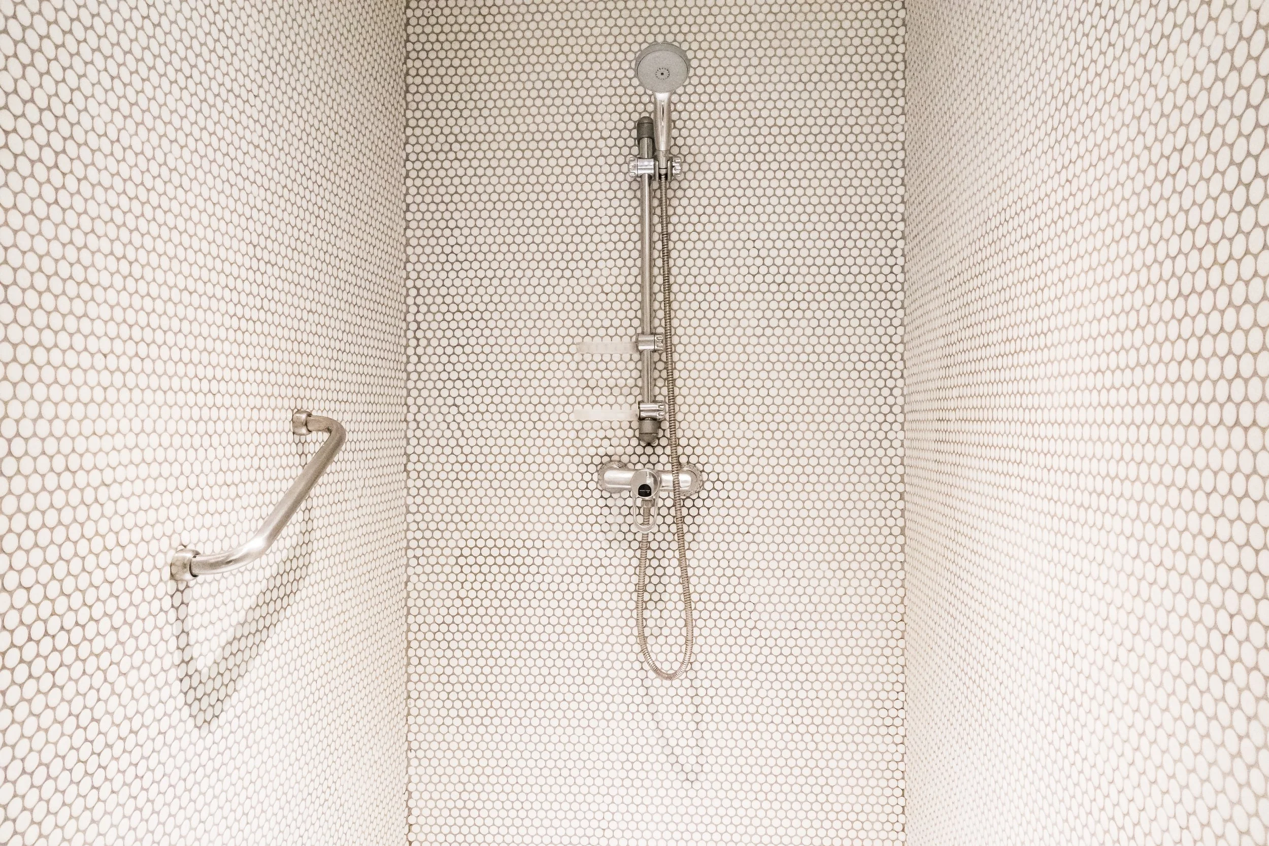 shower with grab bar on side wall