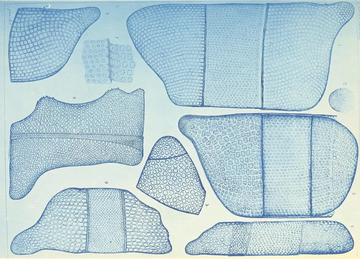 A Personal Tragedy: One