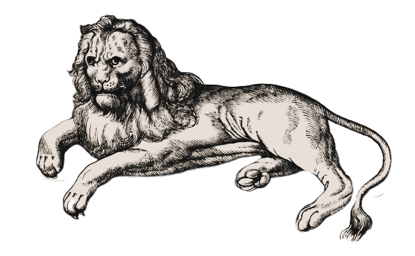 Black and white illustration of a lion lying down with a full mane and a calm expression.