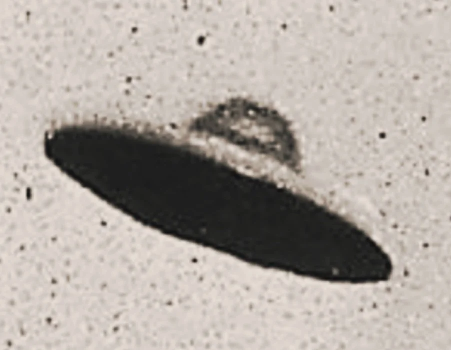 Close-up grayscale image of a flying saucer-shaped object against a speckled background.