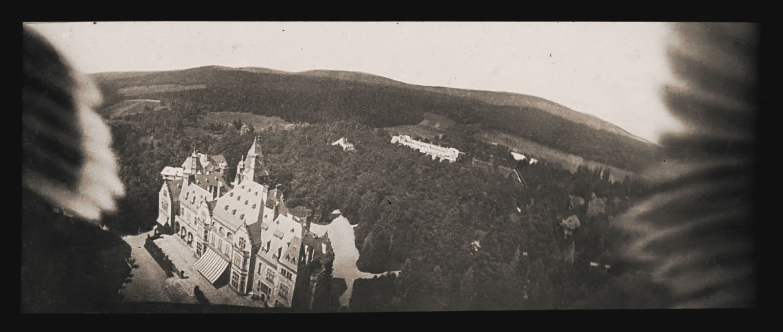 aerial photo taken by a pigeon