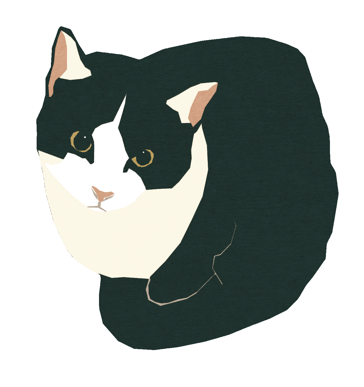 Illustration of a black and white cat with yellow eyes, facing forward with a dark background. Sluggo