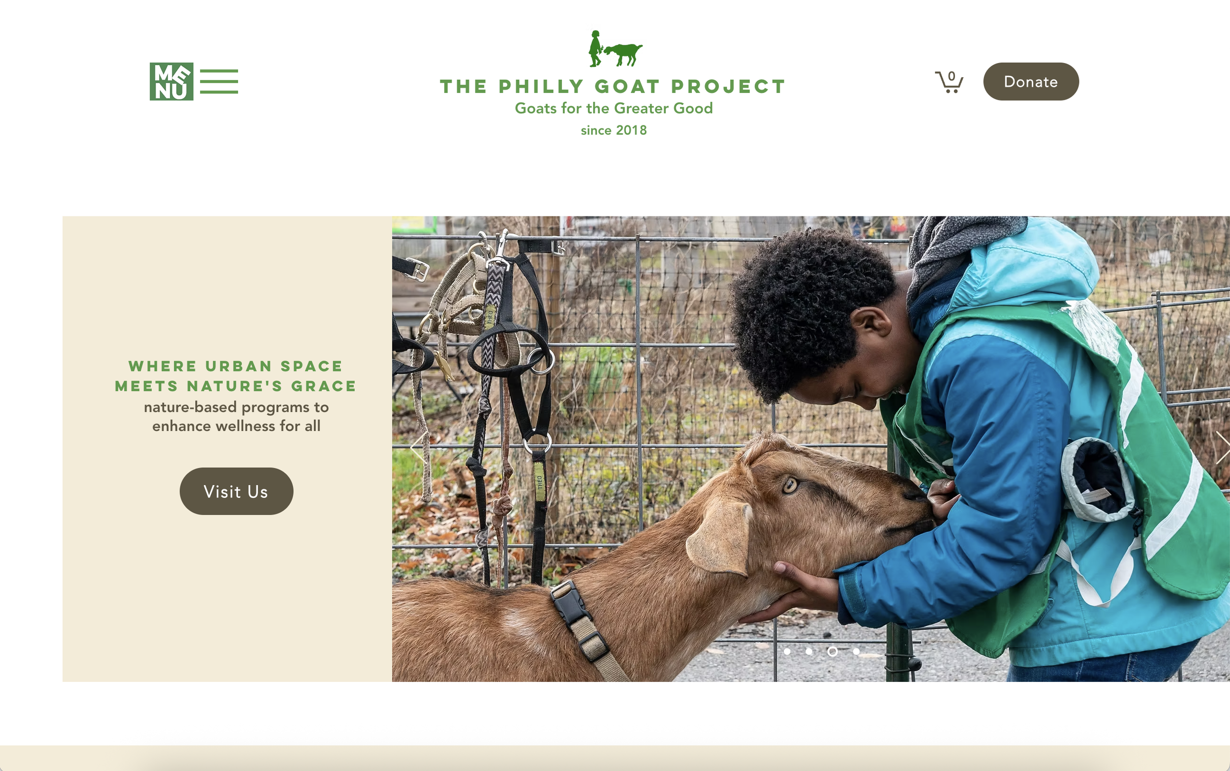 A young person with curly hair petting a goat through a fence at The Philly Goat Project, with some goat equipment hanging on the fence in the background.