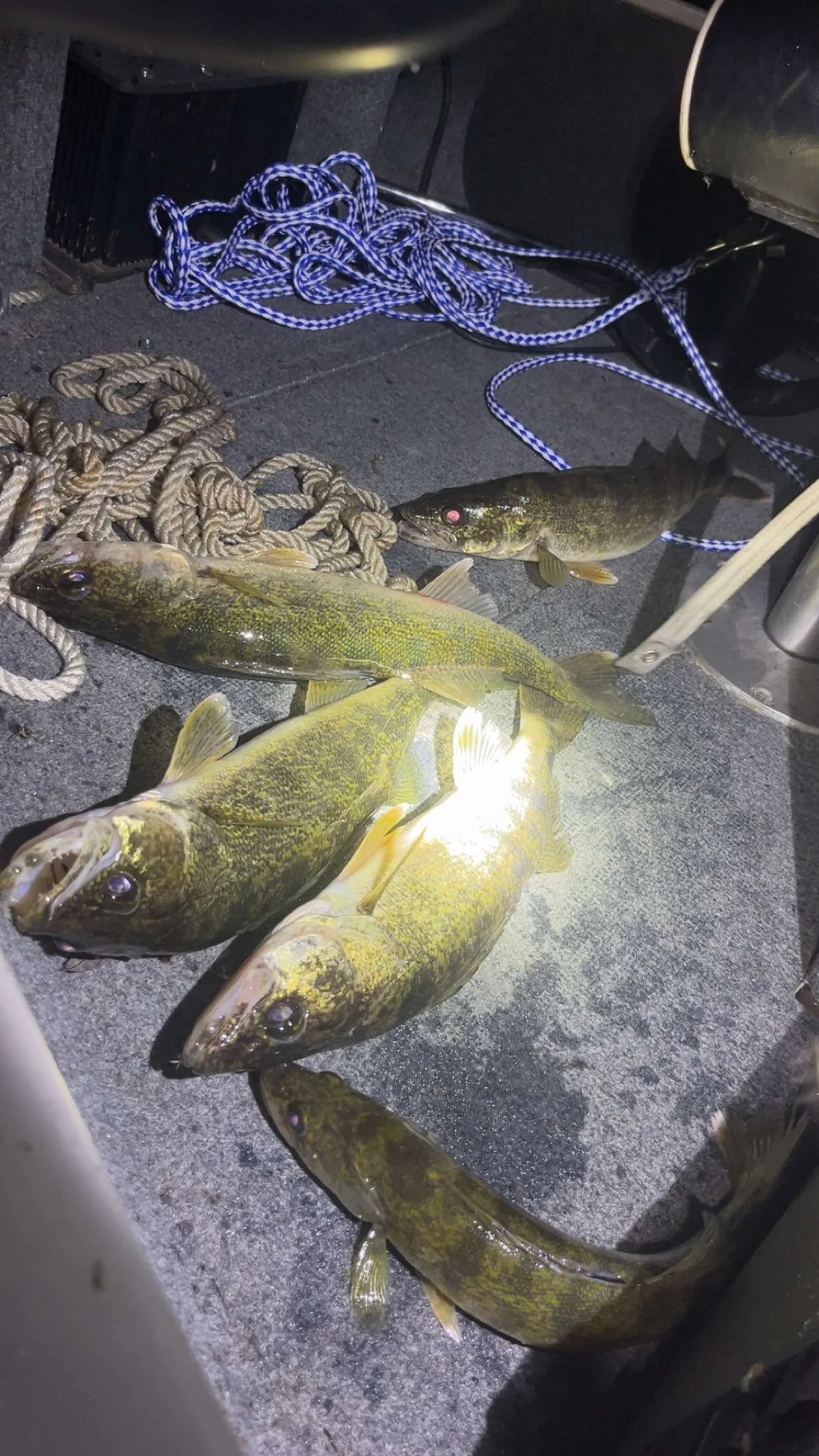 Full Day Fishing Trip