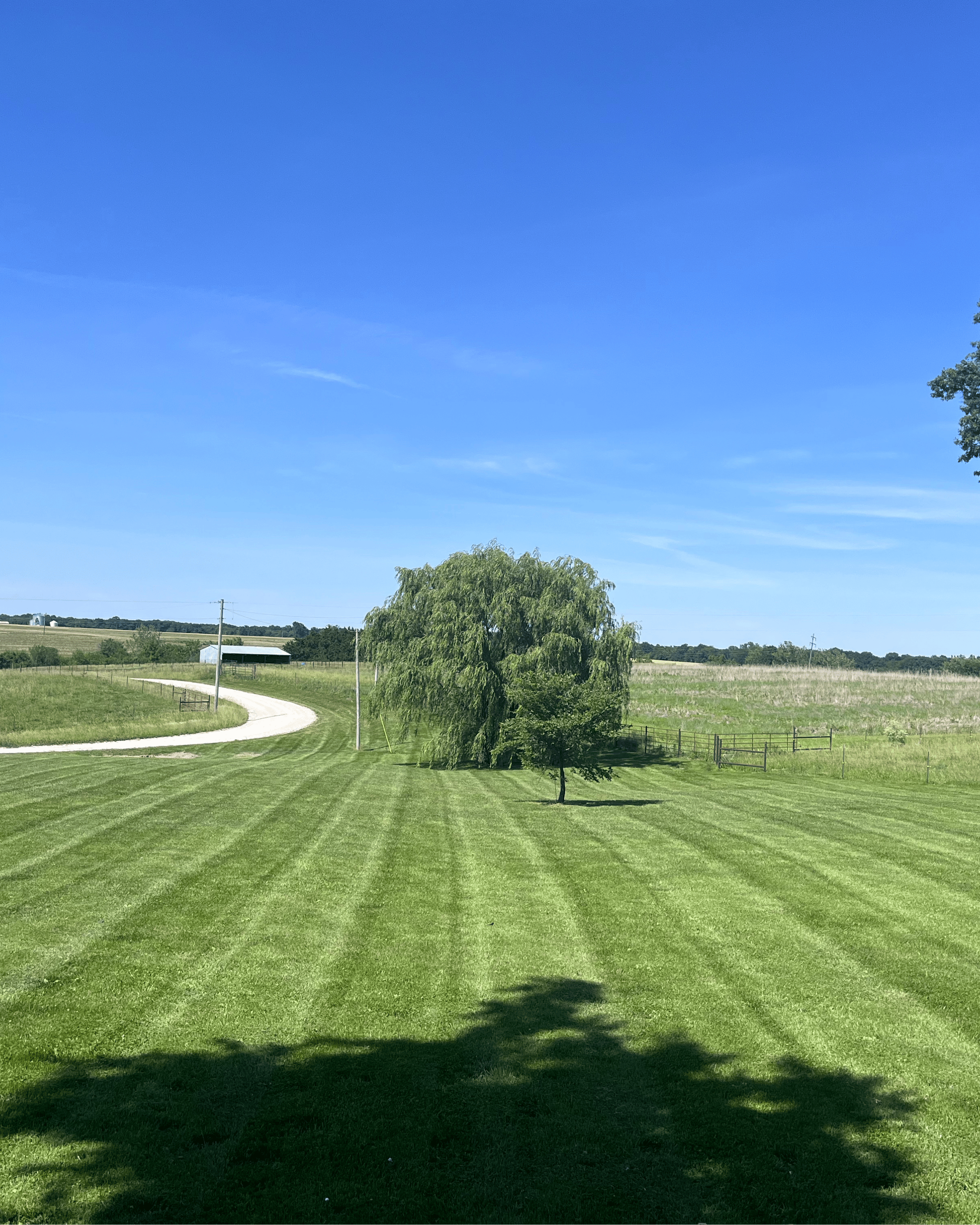 Large & Detailed Lawn Service