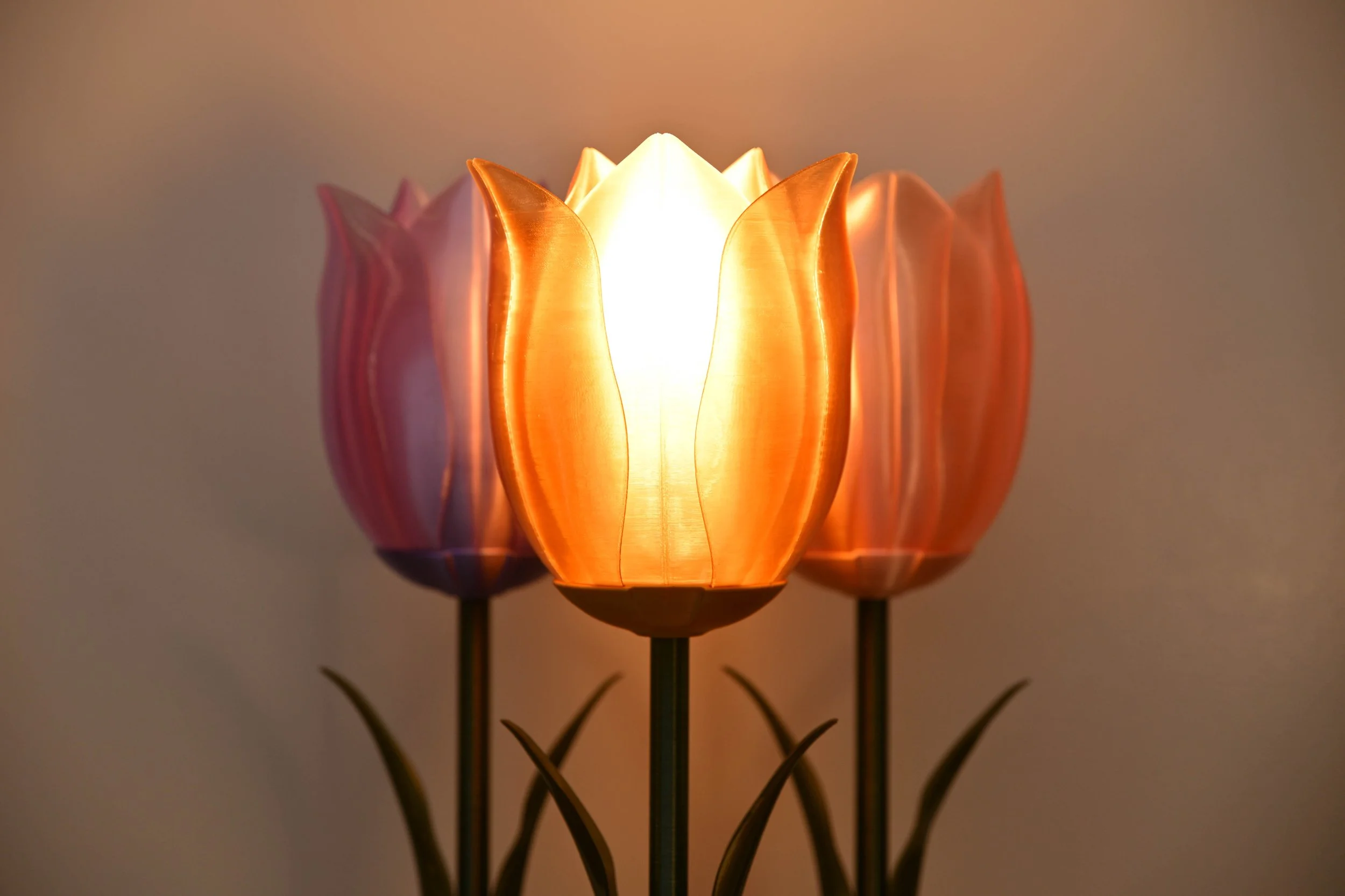 Lose yourself in the gentle glow of night-blooming flowers as you unwind into a peaceful evening routine.