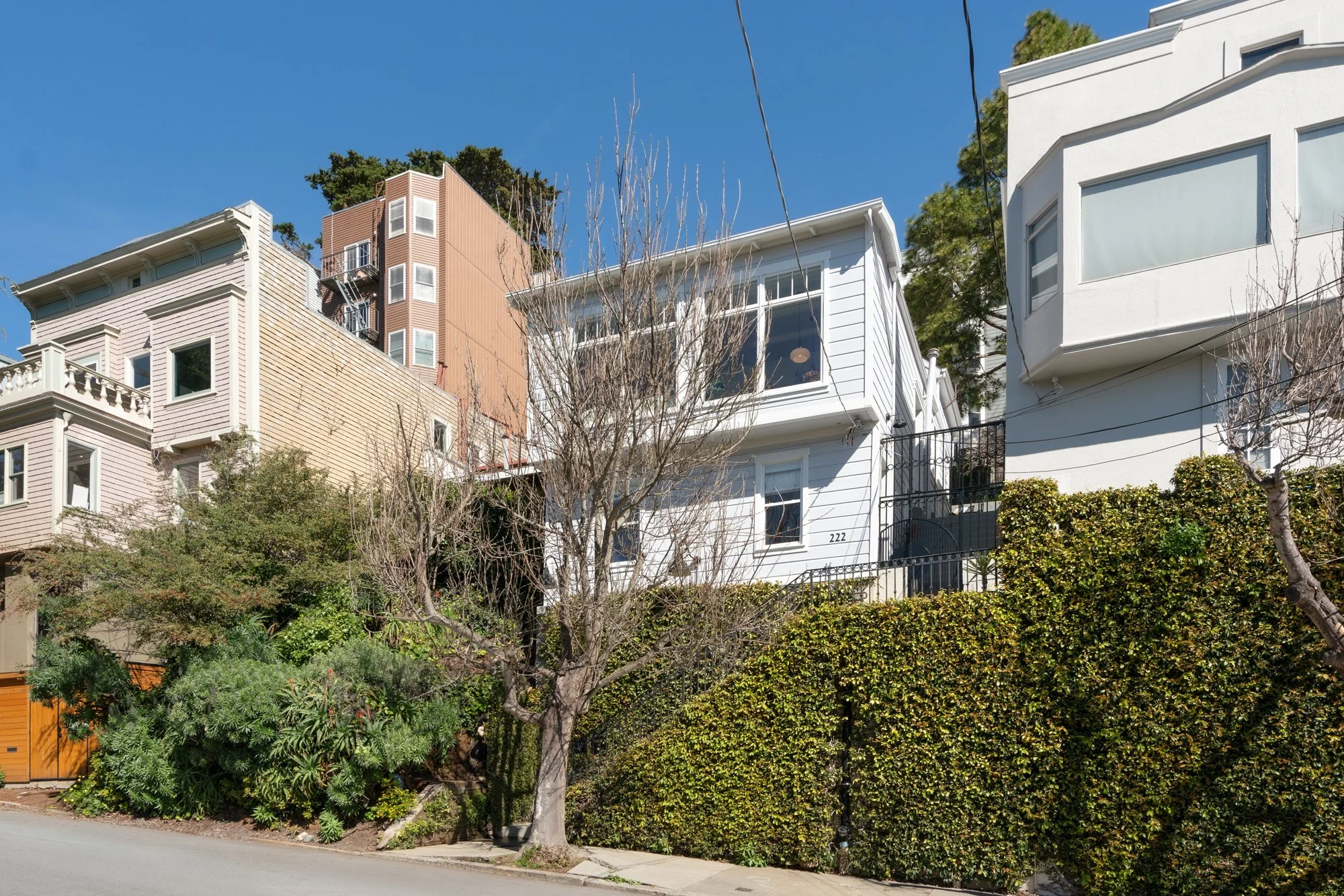 Row of houses on a hill with trees and shrubbery in front, clear blue sky overhead.