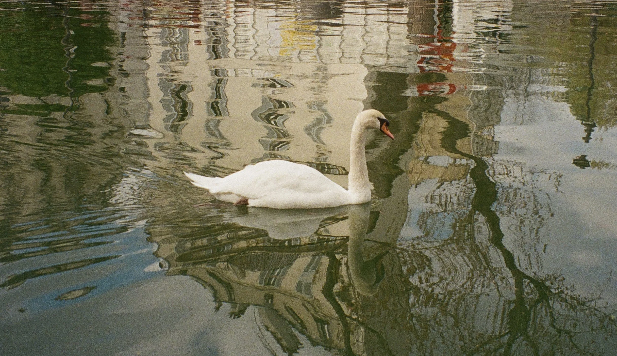 029CD706-C768-47AF-90B1-ED679308BB29 2.jpeg