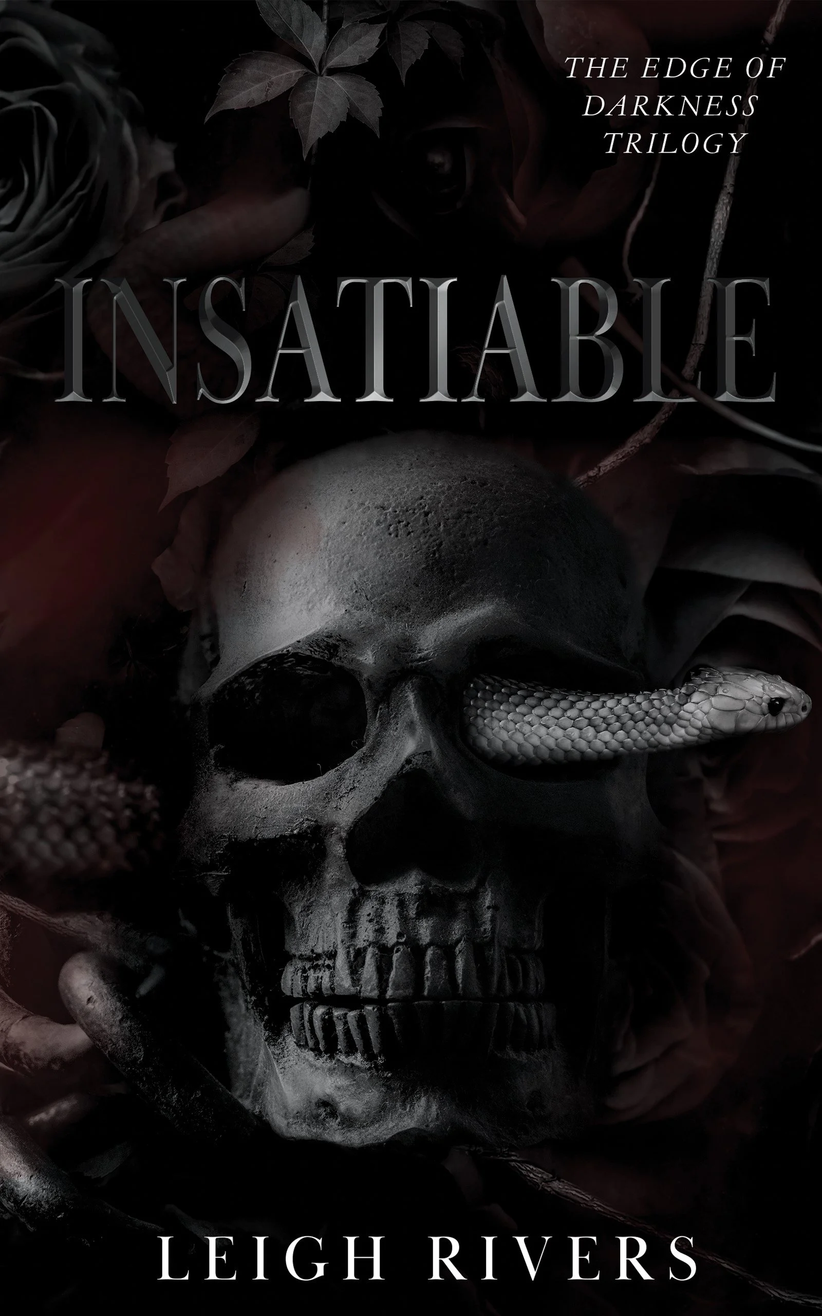 Insatiable (The Edge of Darkness Trilogy #1) by Leigh Rivers