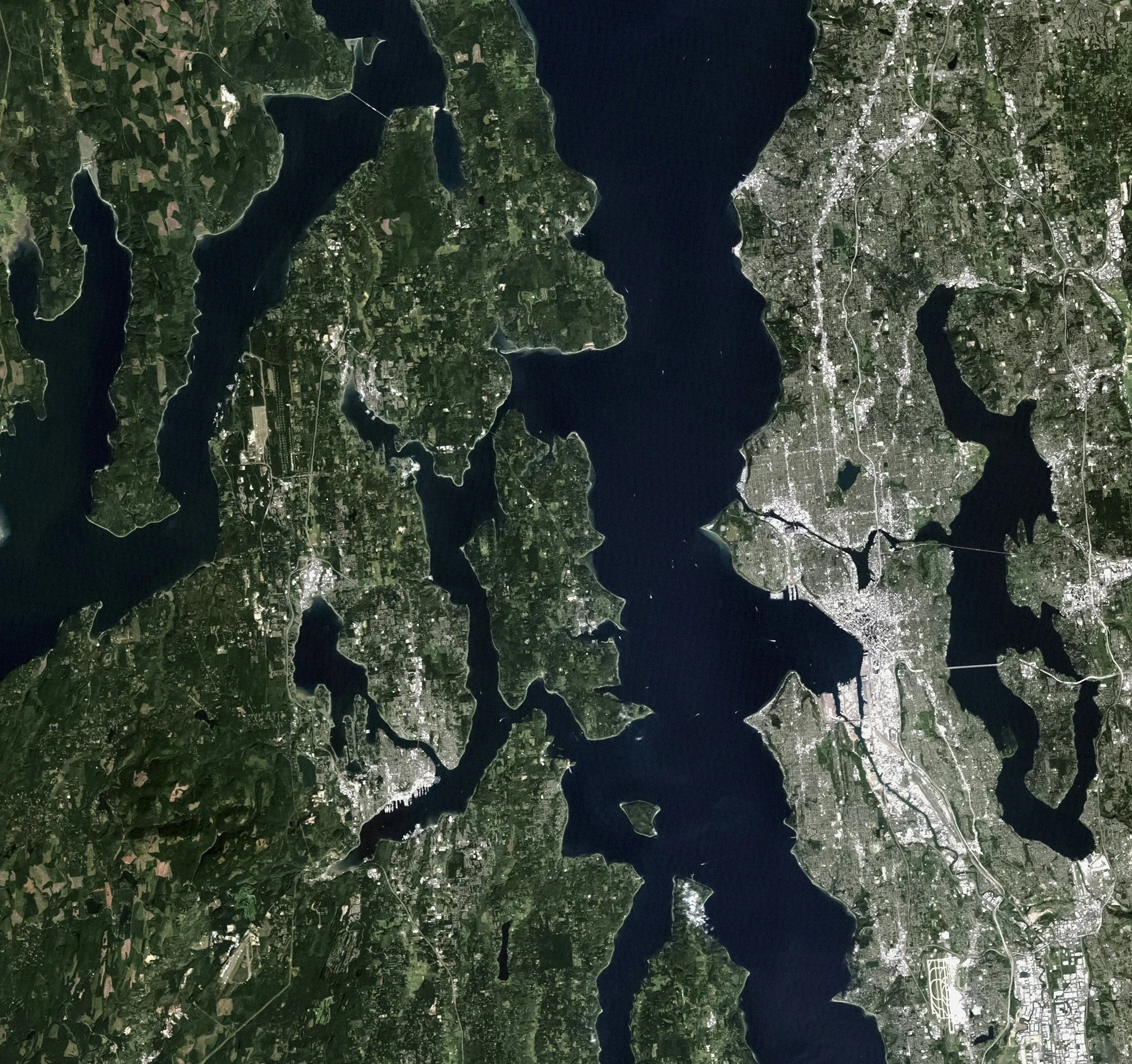 Satellite image showing a body of water with numerous inlets and surrounding urban and green areas.