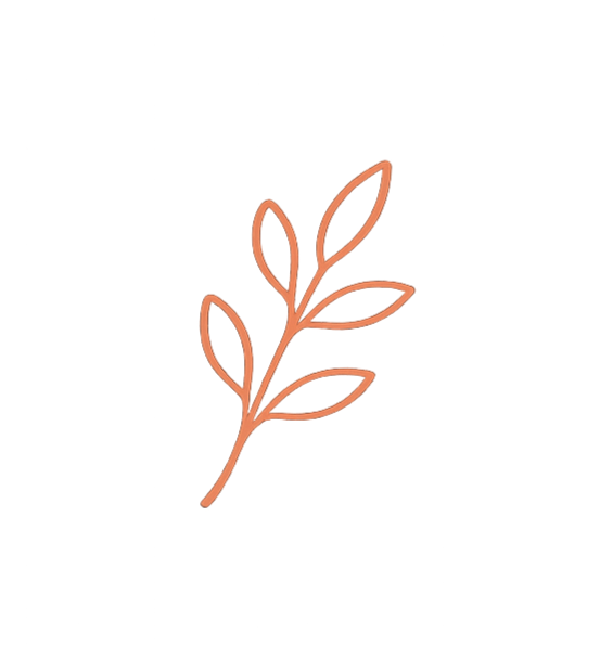 Minimalist illustration of a branch with five leaves drawn with simple lines in a copper color.