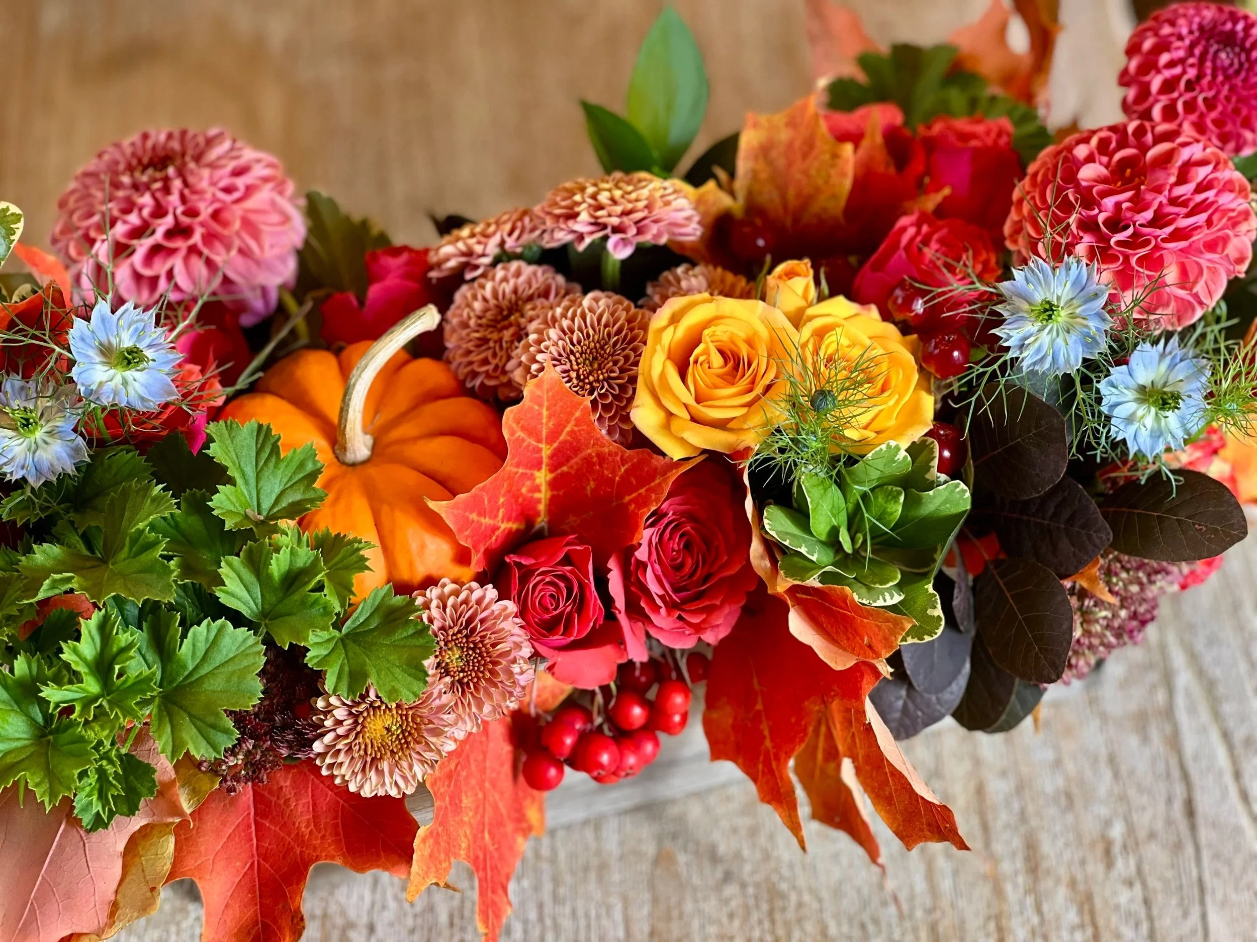 Fall floral centerpiece mini pumpkin, pink dahlias, peach mums, light blue nigella, red hypericum berry, burgundy foliage, bright orange spray roses, fall leaves, green serrated foliage, red mountain ash berries in wood box