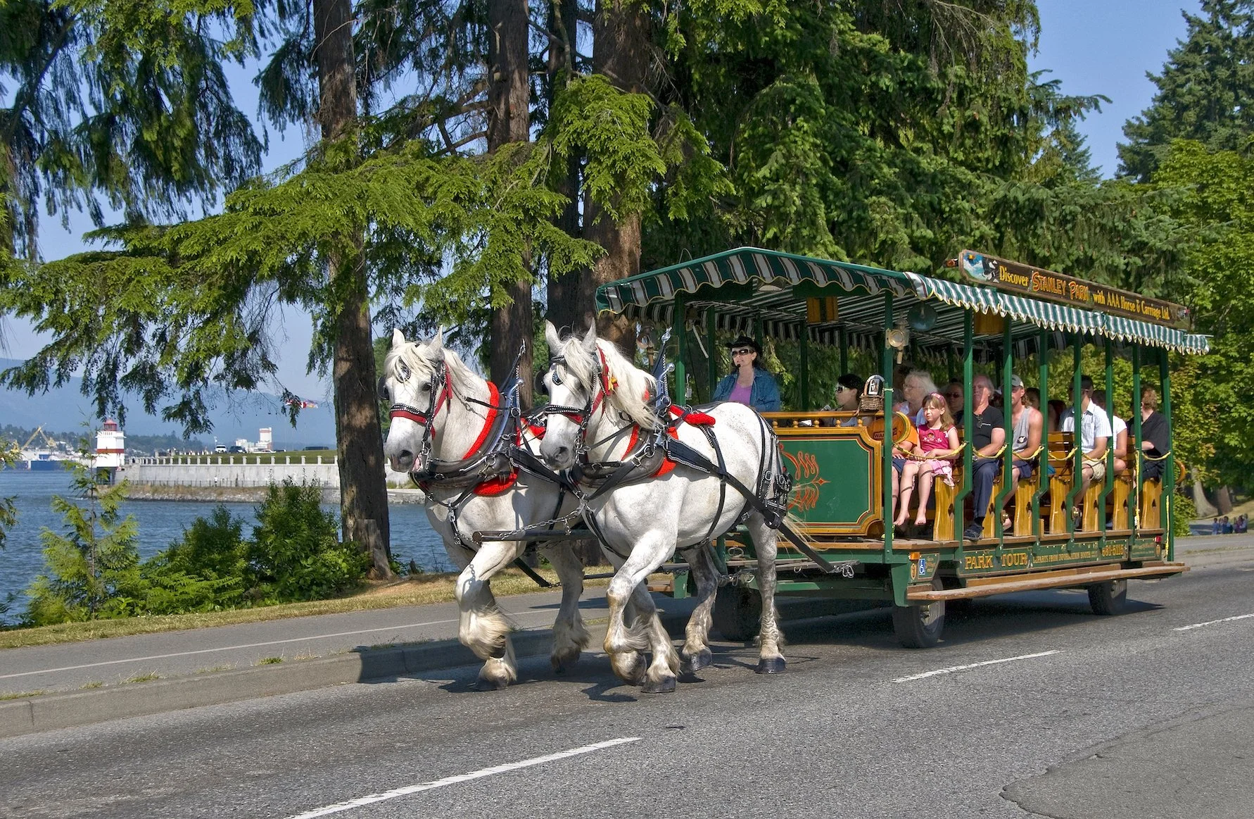 Carriages 32! copy 2.jpg