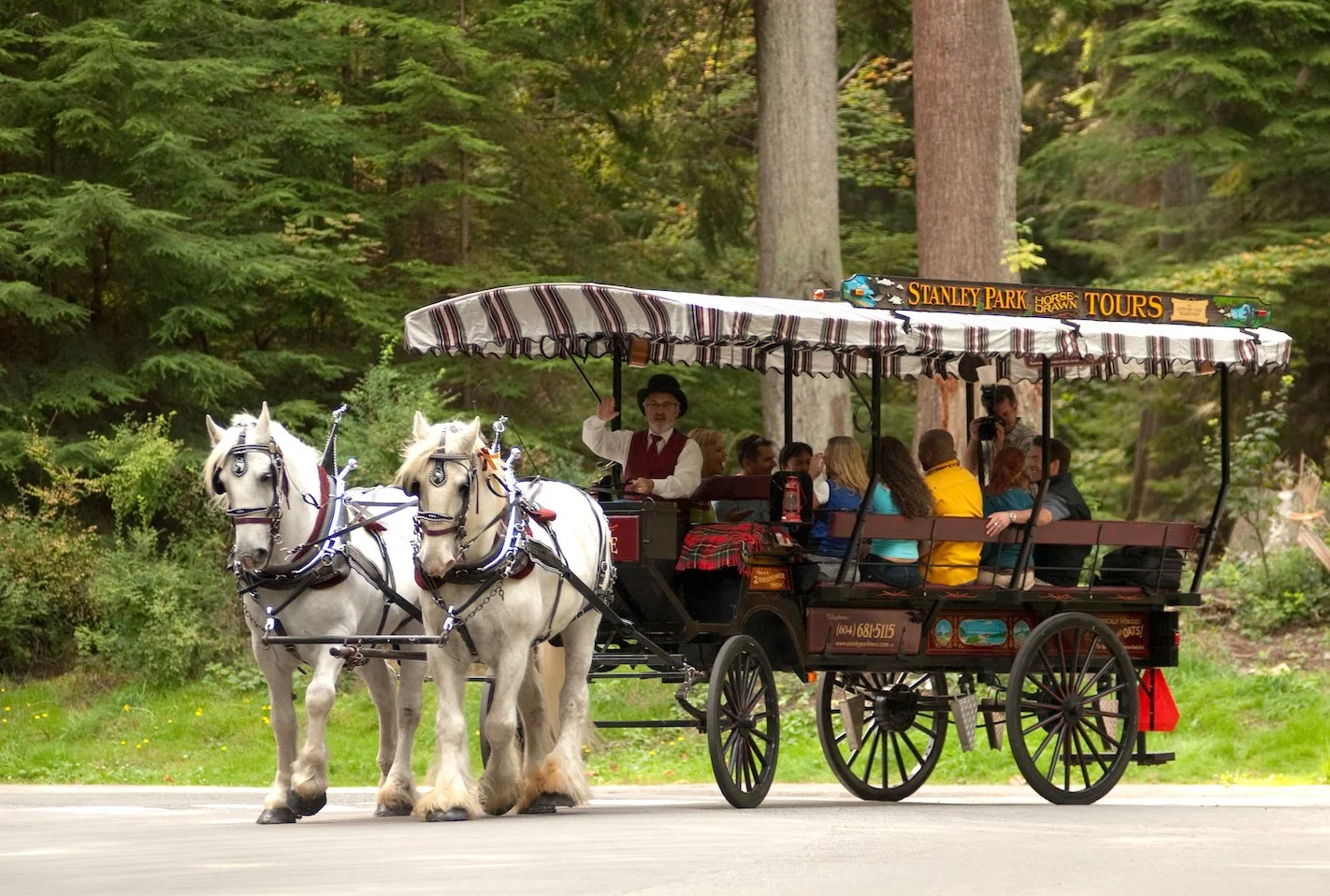 AAA Horse  Carriage(1) copy.jpg