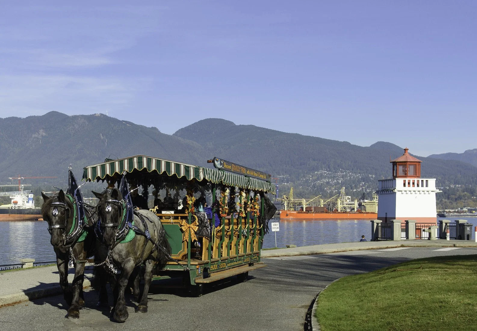 50560204203_cb822b9082_k copy.jpg