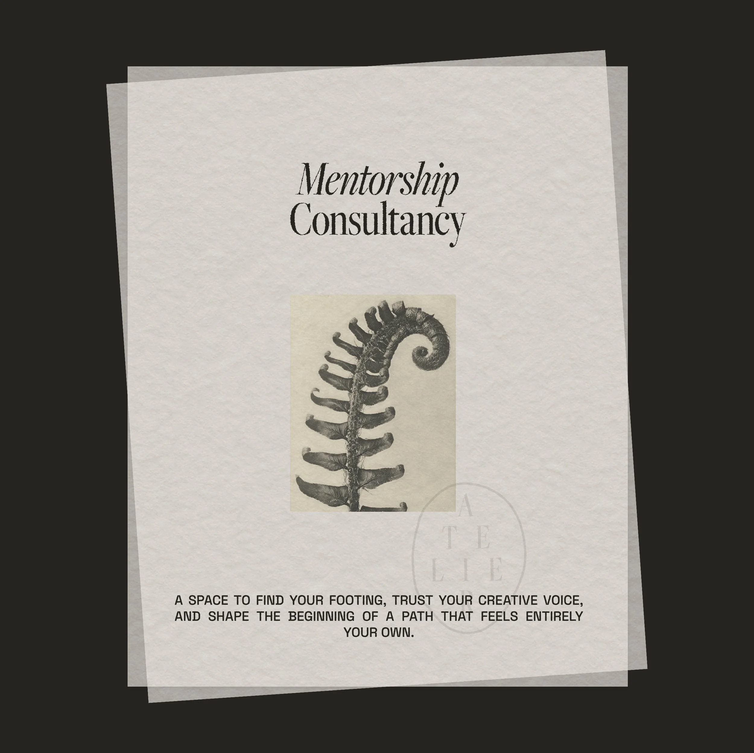 Mentorship Consultancy.jpg