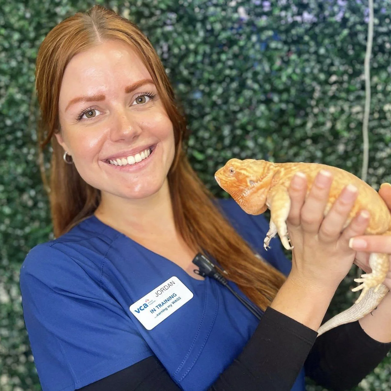 A woman with red hair, wearing a blue shirt with a name tag that reads 'Jordan,' smiling while holding an orange and yellow bearded dragon lizard, standing in front of a leafy green background.