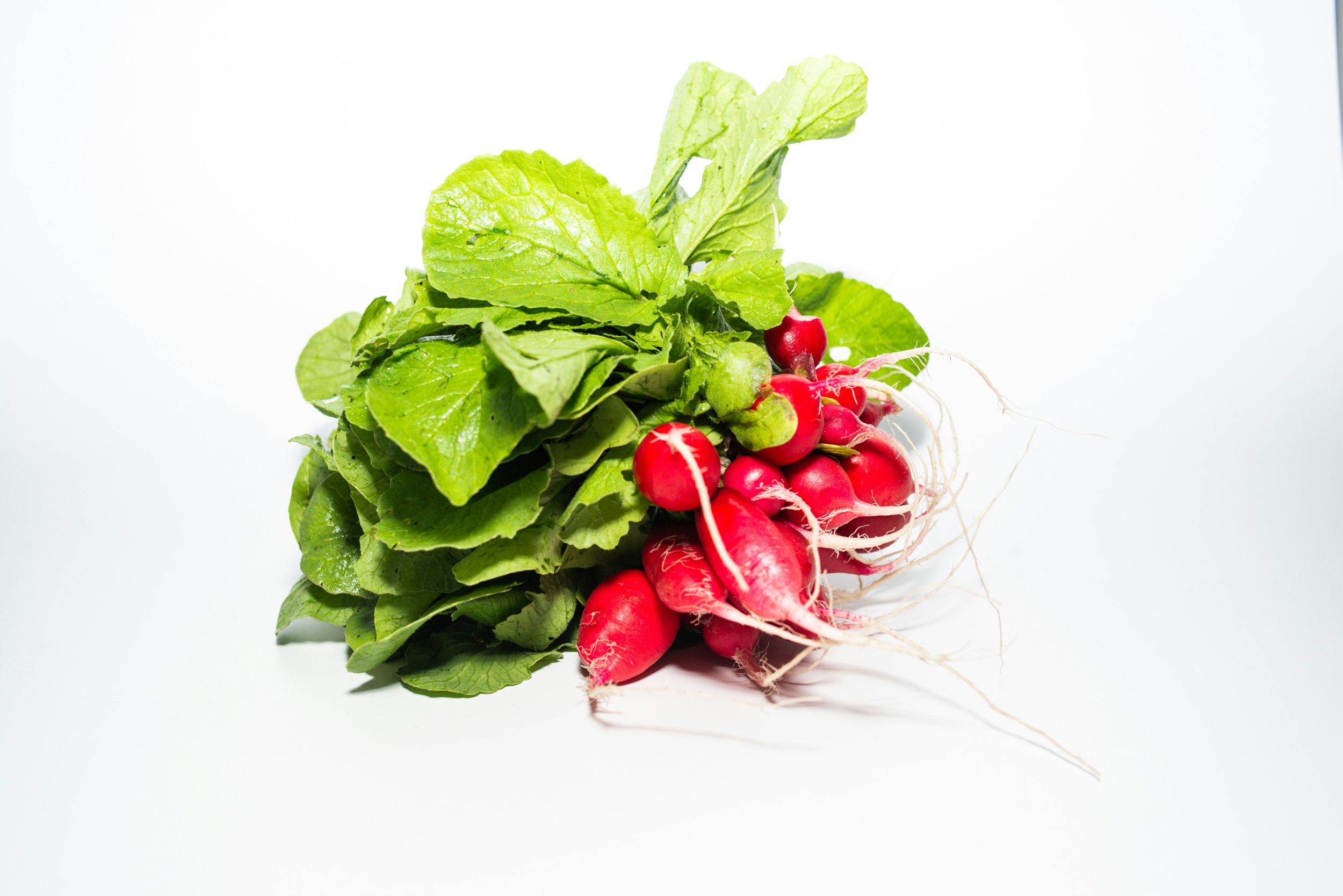 bundle of radishes