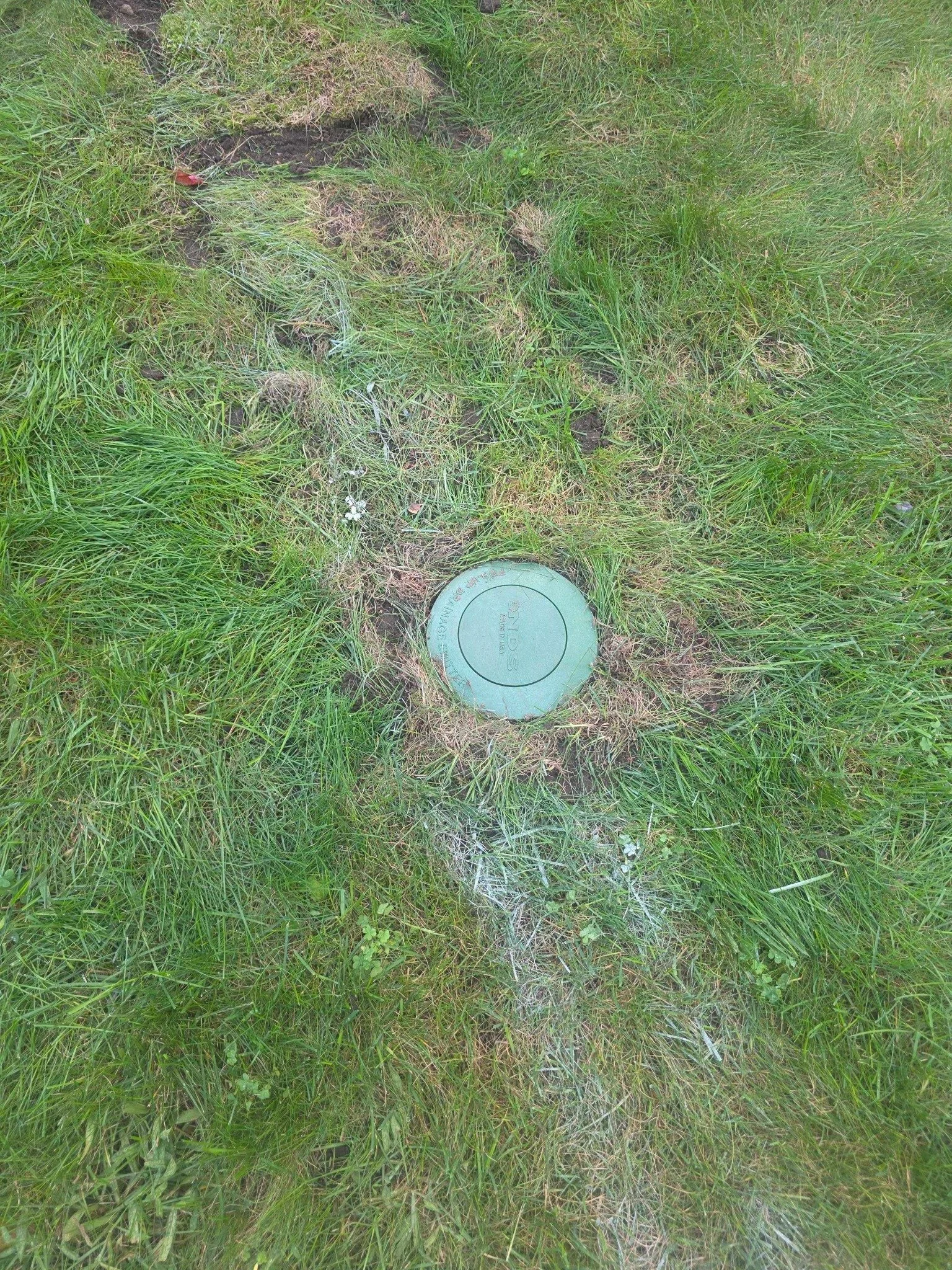 Buried sump pump discharge route restored through the lawn outside the Manchester home.