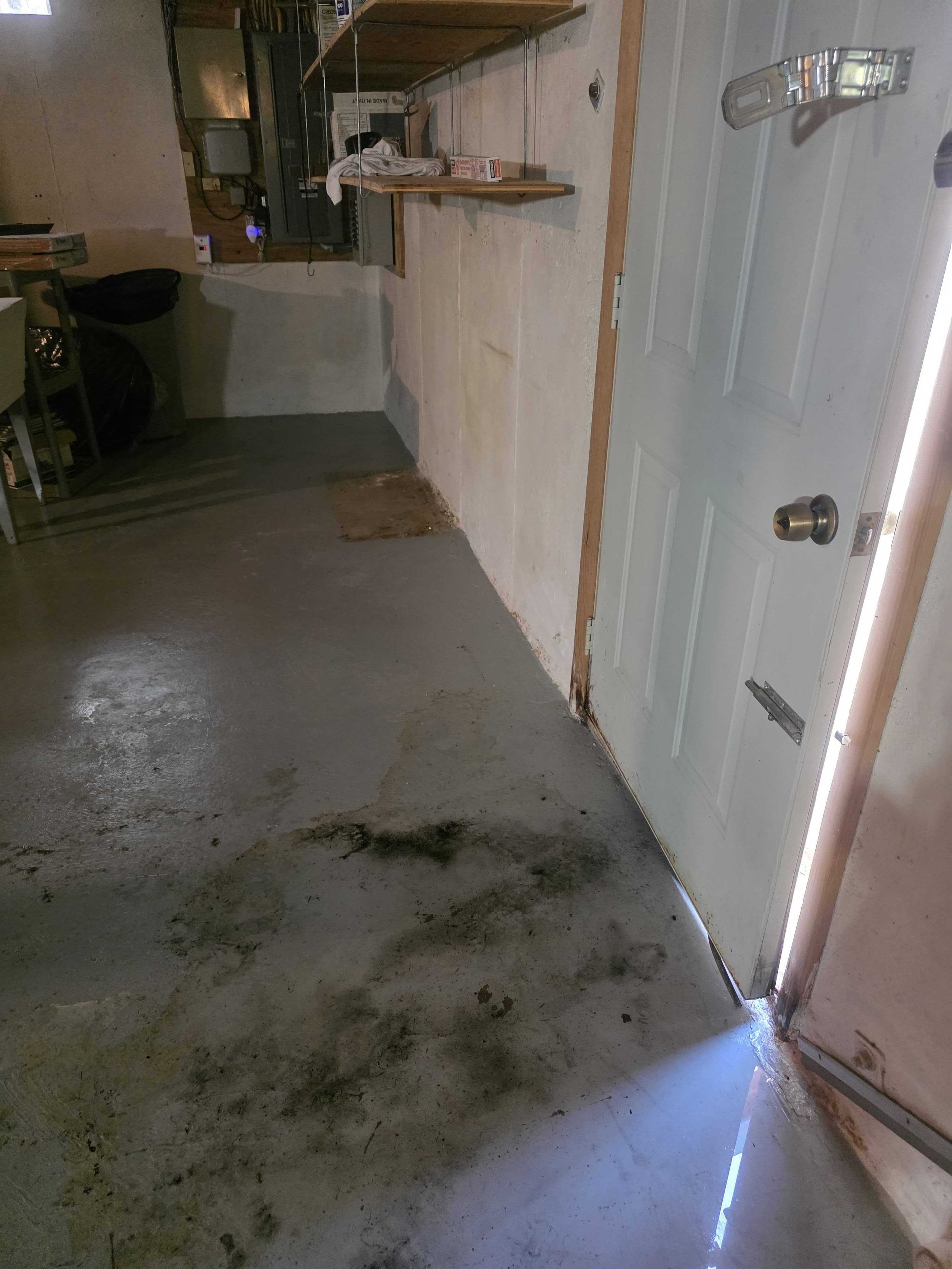 20260428_094421.jpg