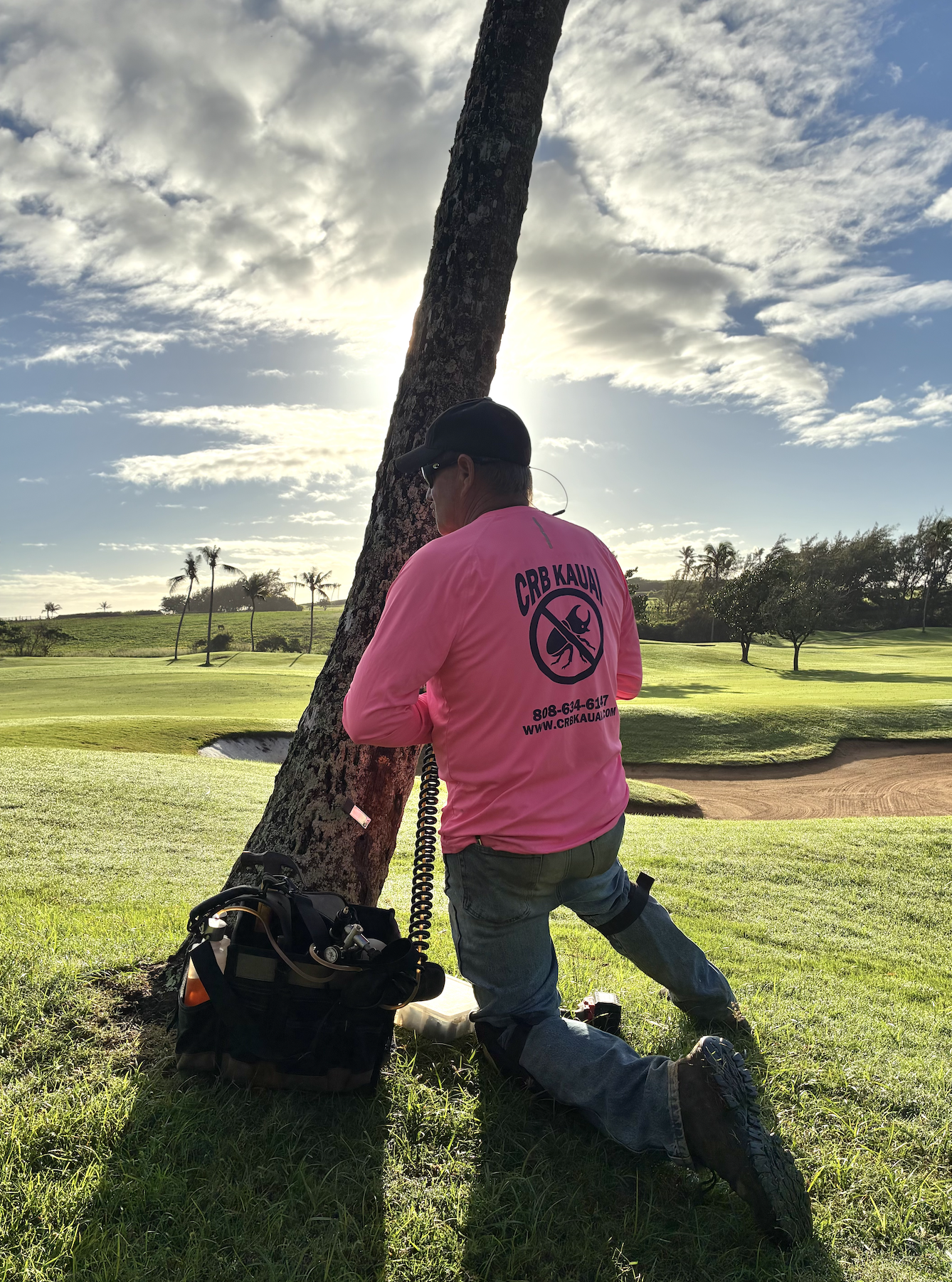 PREVENTATIVE TREATMENT