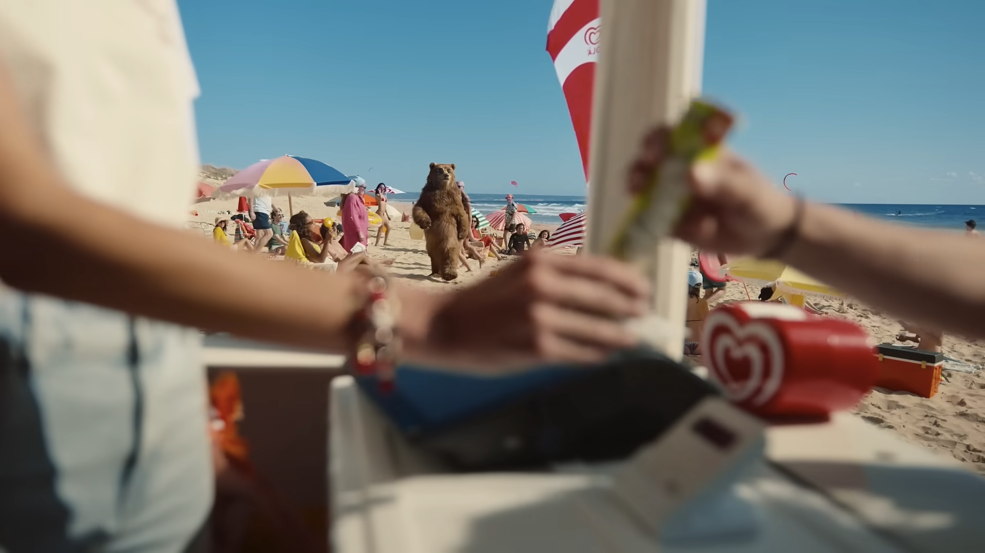 Captura de ecrã 2026-03-05, às 10.46.01.png