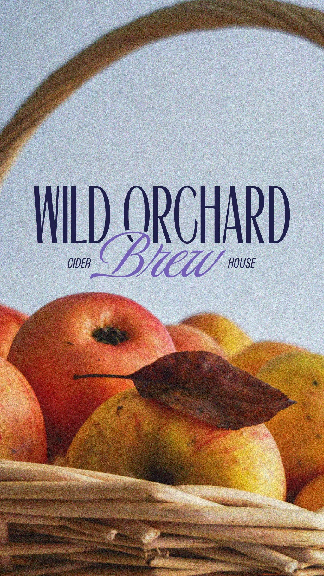 apple cidery logo design and branding