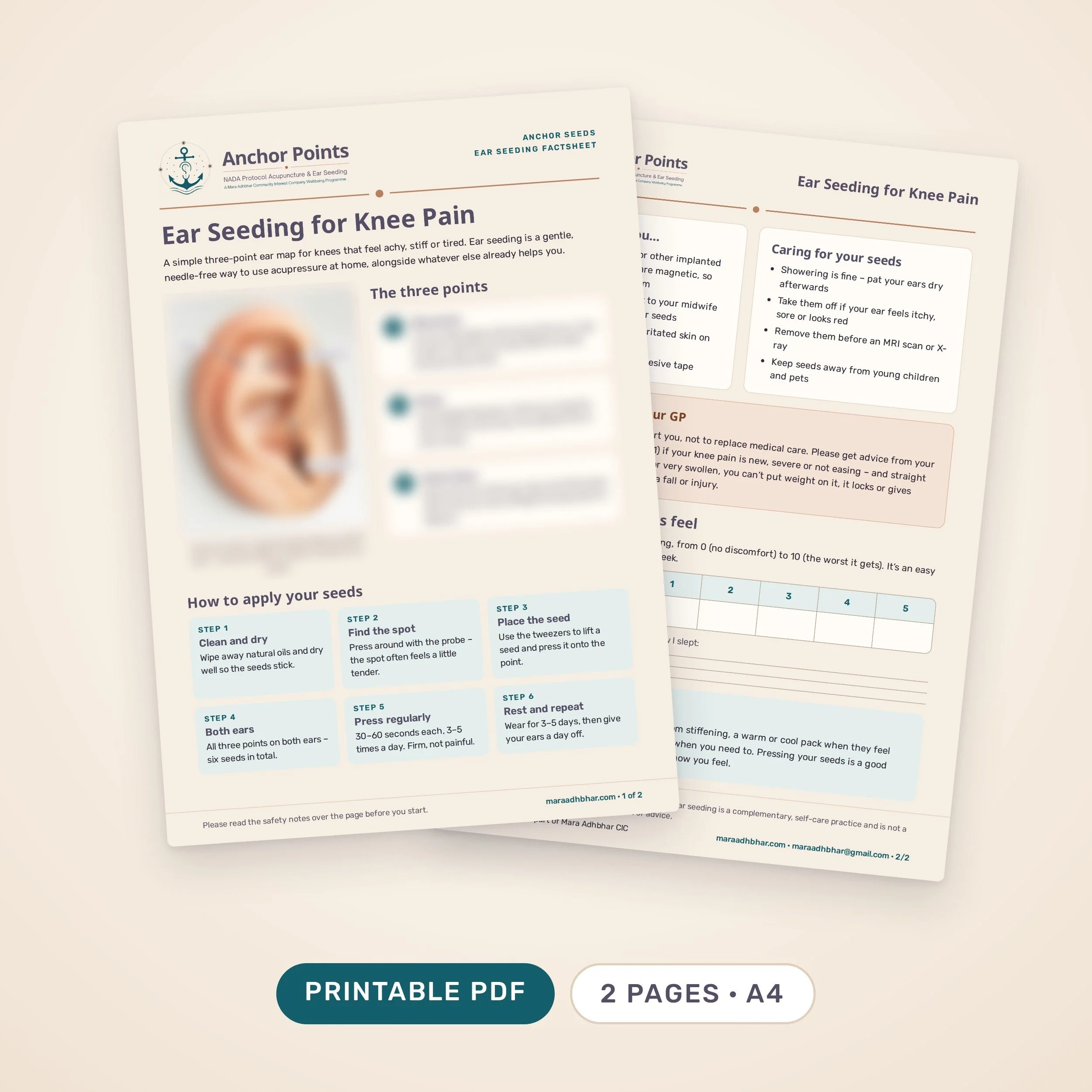Anchor-Seeds-Knee-Pain-Factsheet-product.jpg
