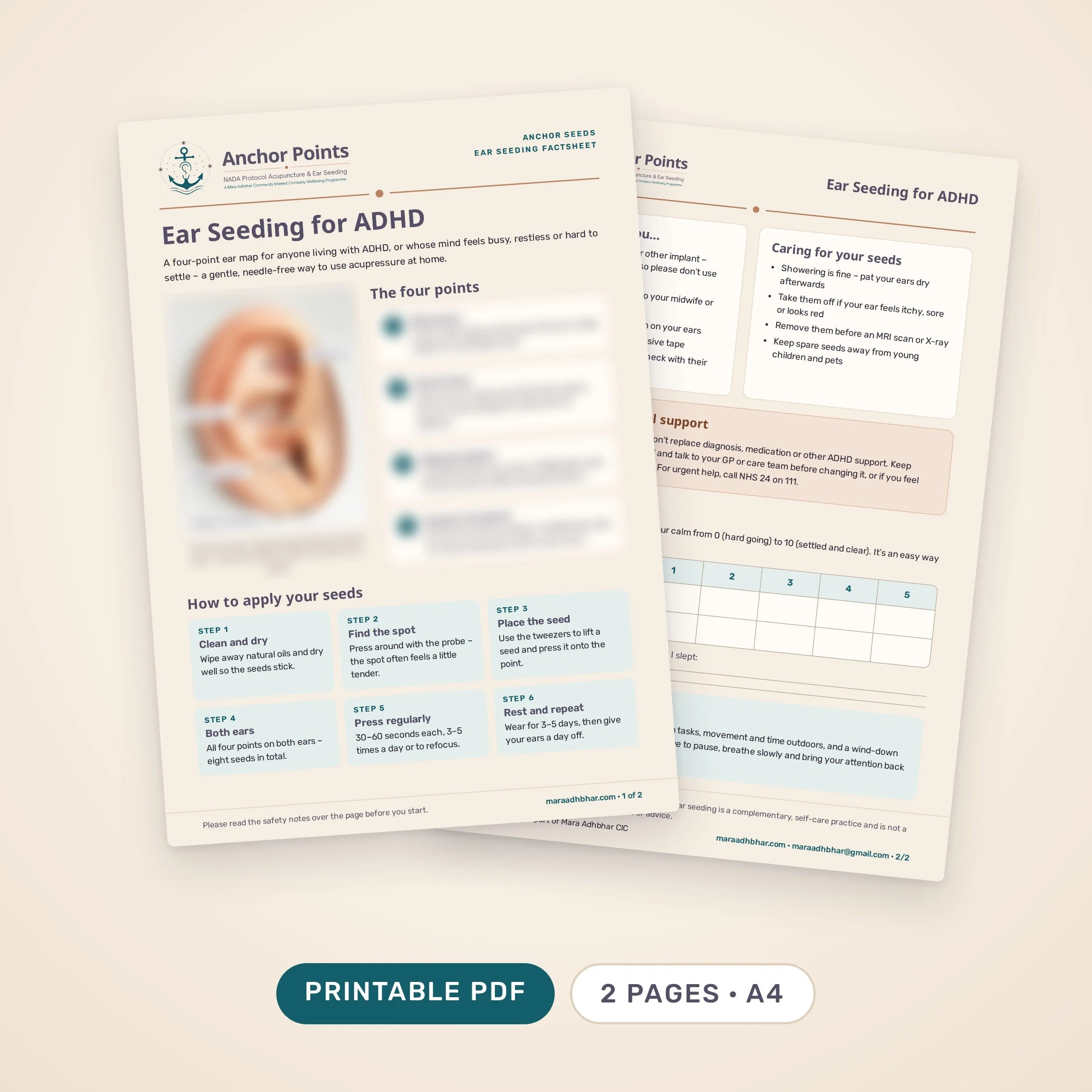 Anchor-Seeds-ADHD-Factsheet-product (1).jpg