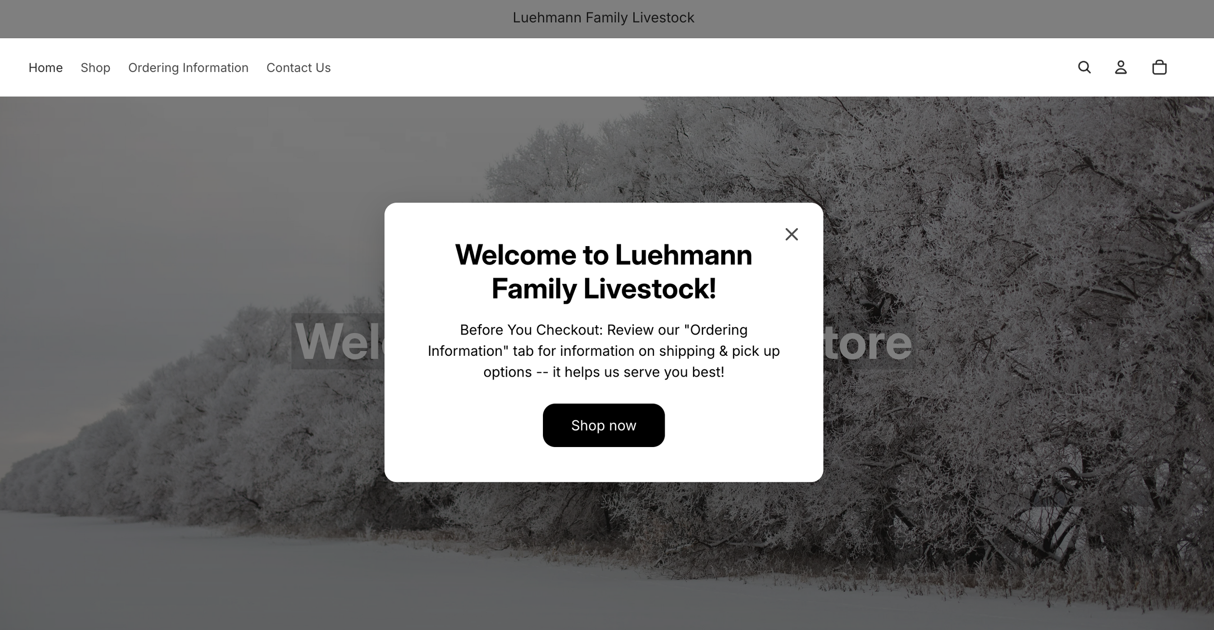 Screenshot 2026-03-04 at 8.06.10 PM.png