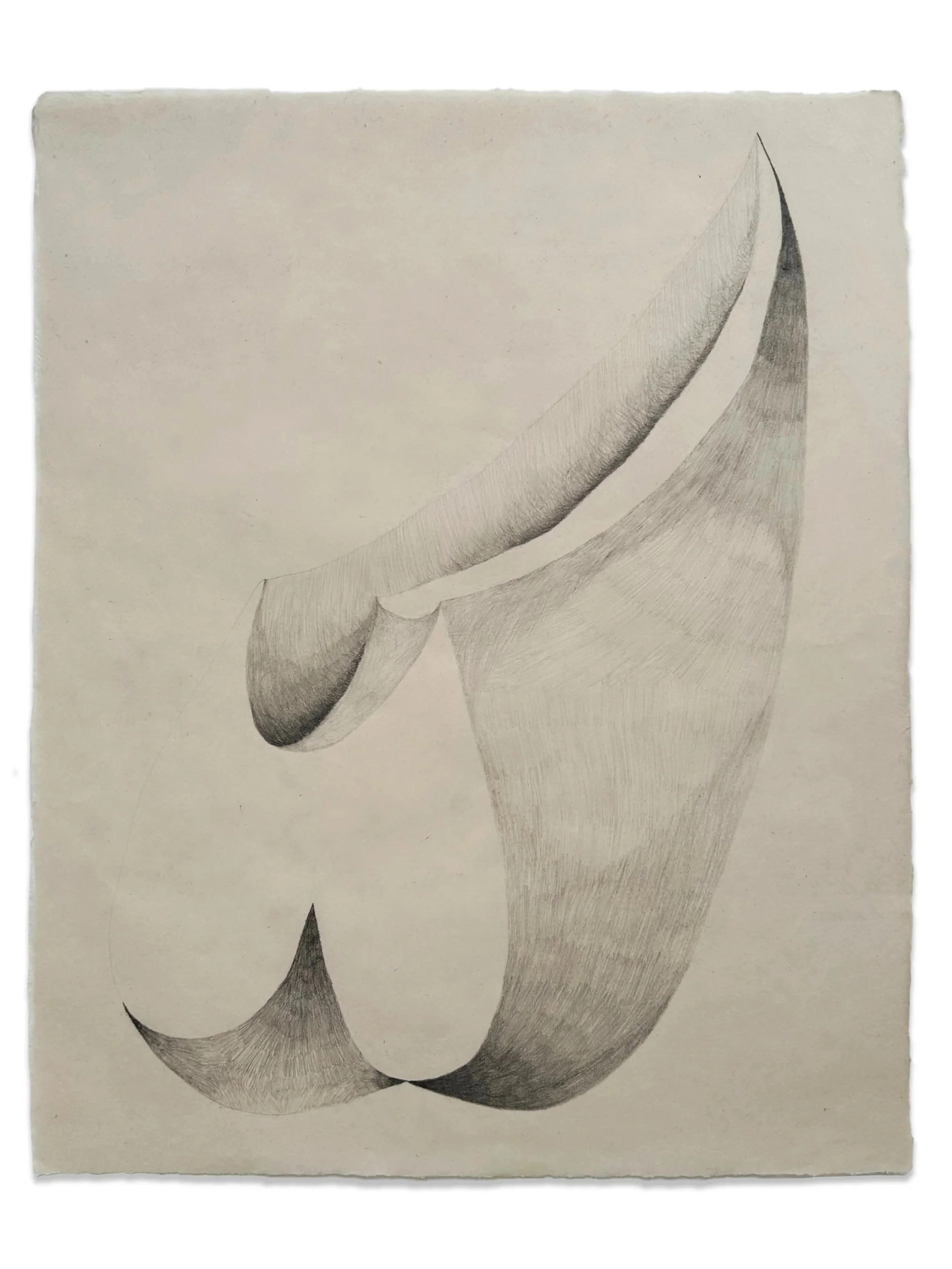 Untitled, graphite on paper, 16" x 20", 2022