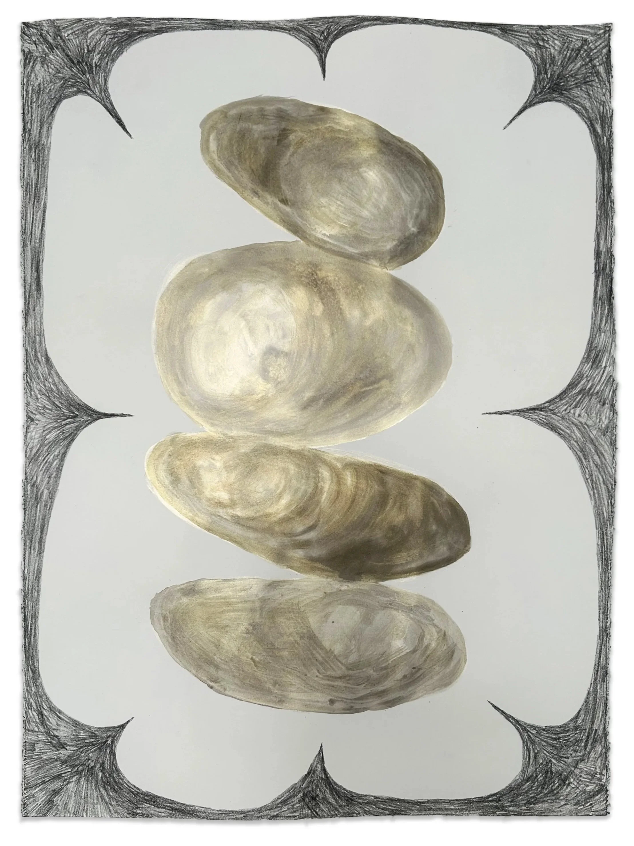 "Mussel Memory" graphite and ink on paper, 20" x 22", 2023