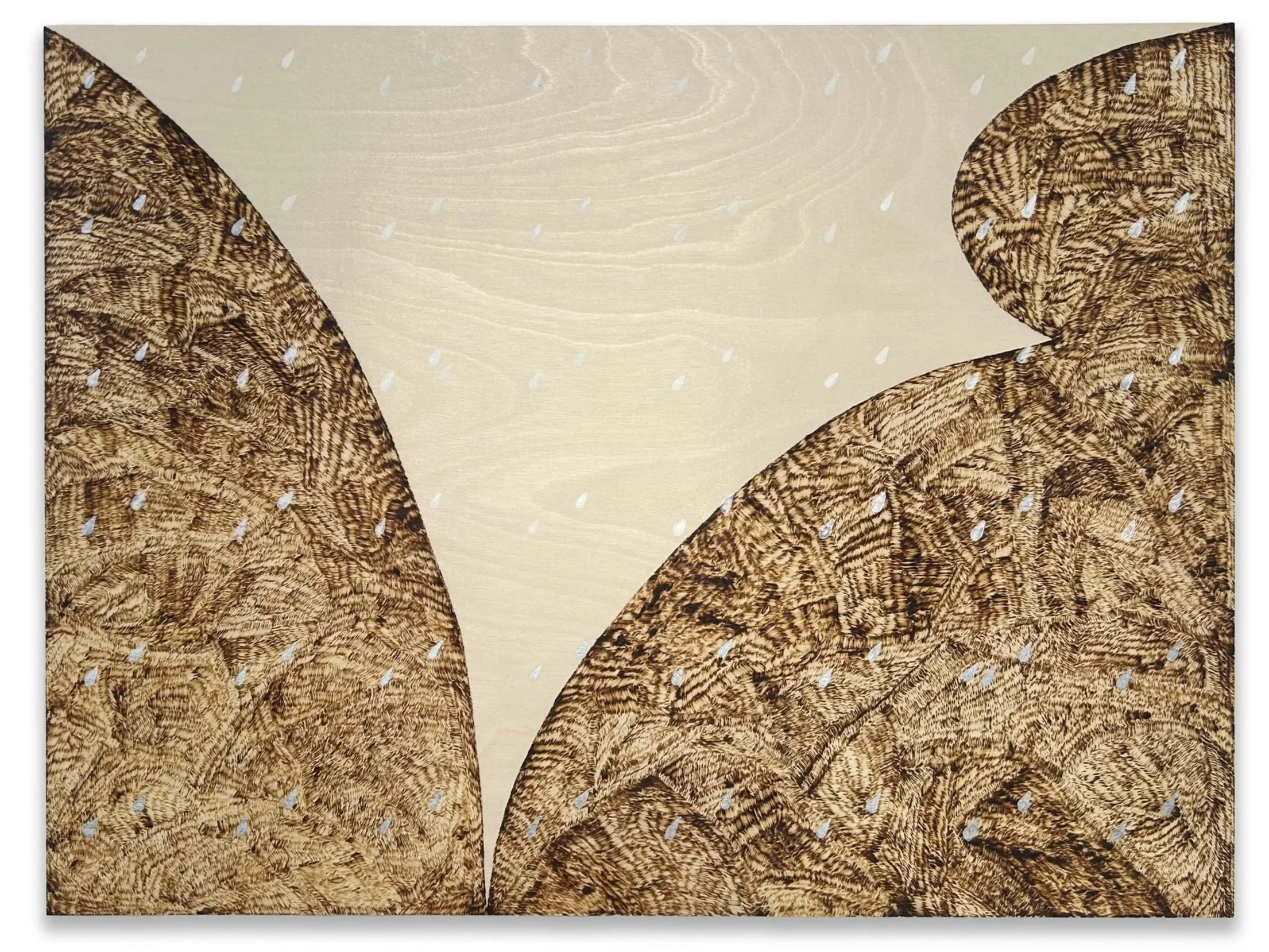 "Fine tooth" pyrography and acrylic ink on wood panel, 18" x 24" x 7/8", 2025