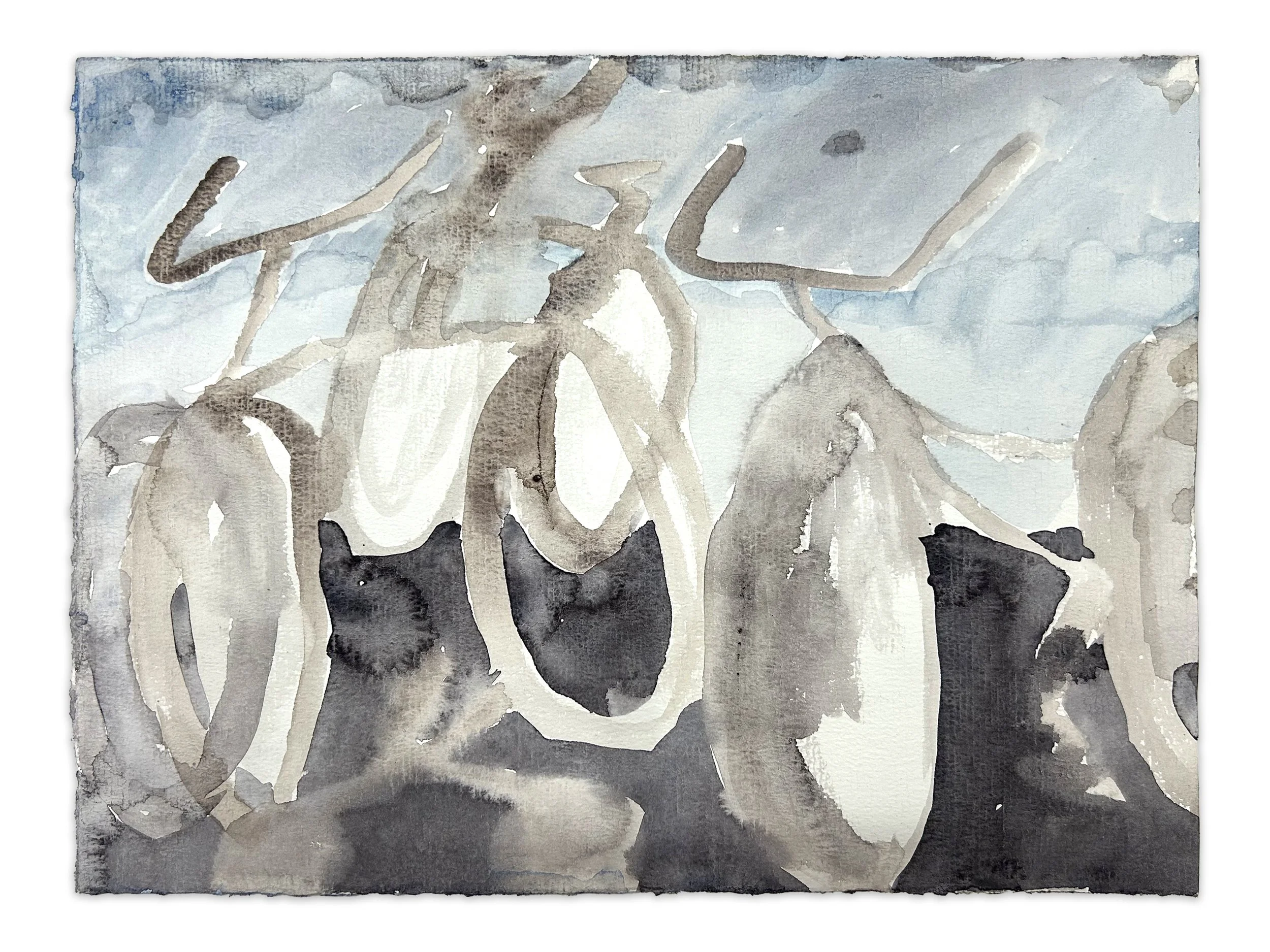 "steed" watercolor, paper, 9" x 12", 2026