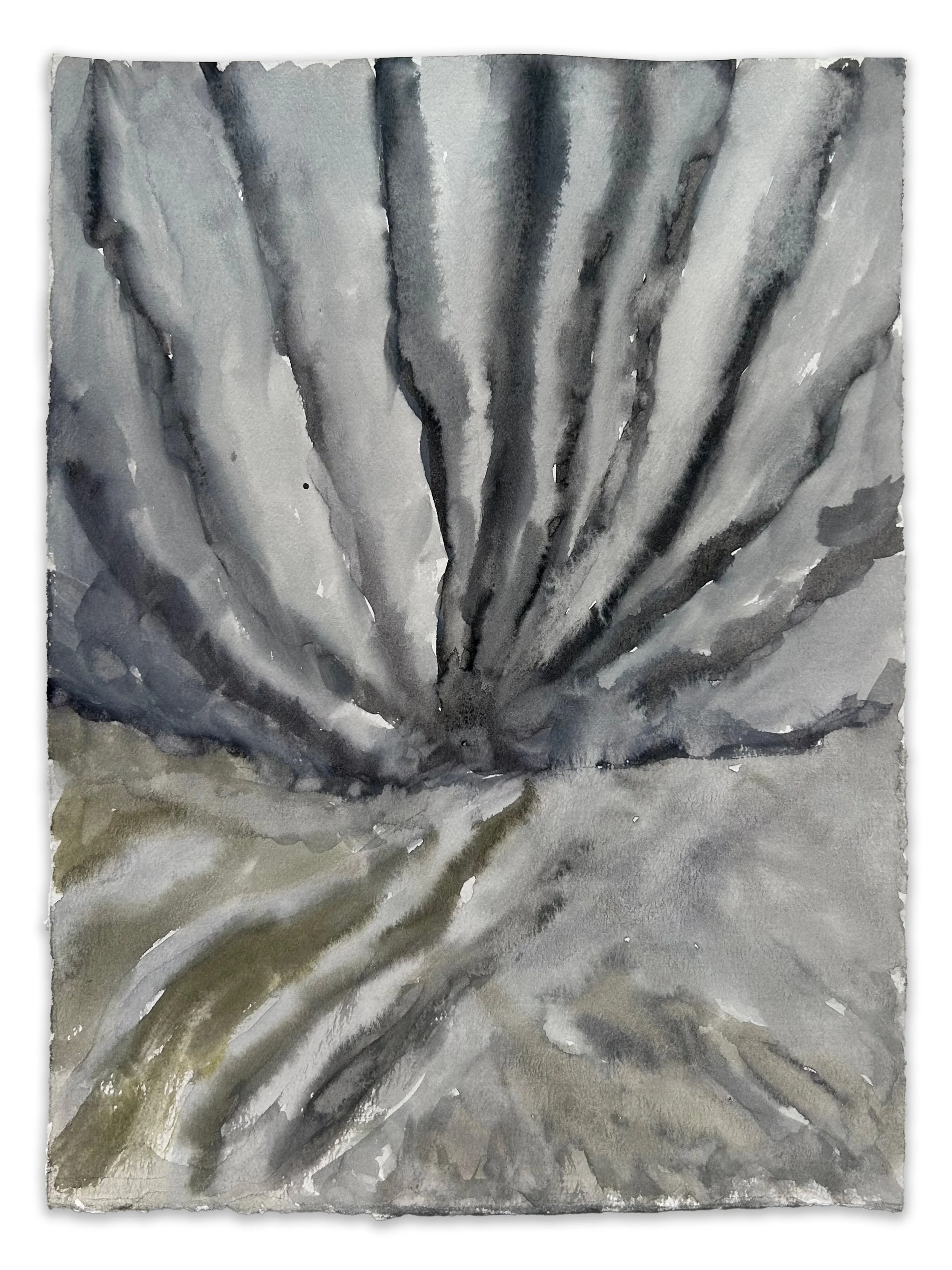 "Undulatus" watercolor, and gouache on paper, 12" x 9", 2026