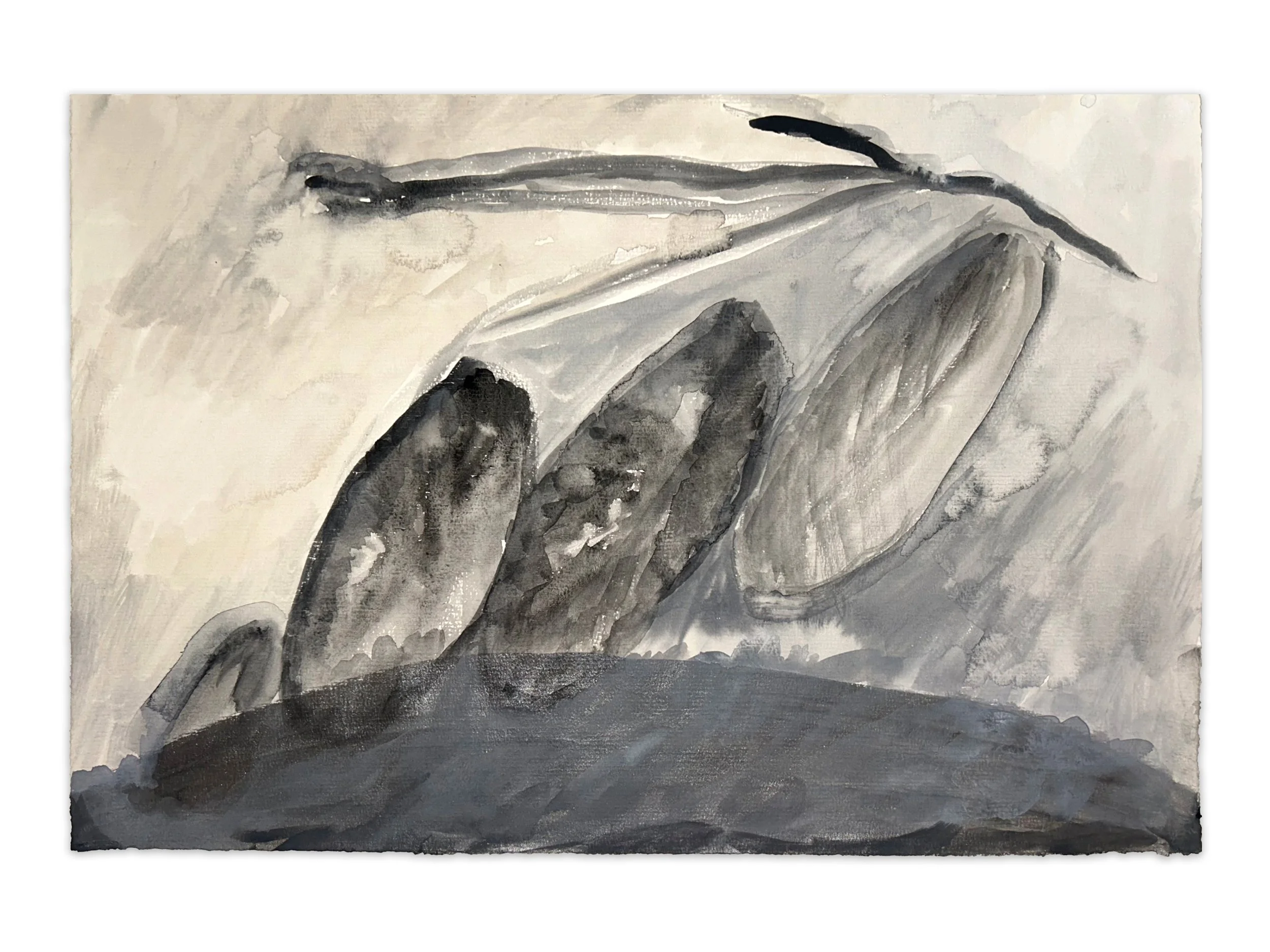 "flight" watercolor and acrylic ink on paper, 12" x 18", 2026