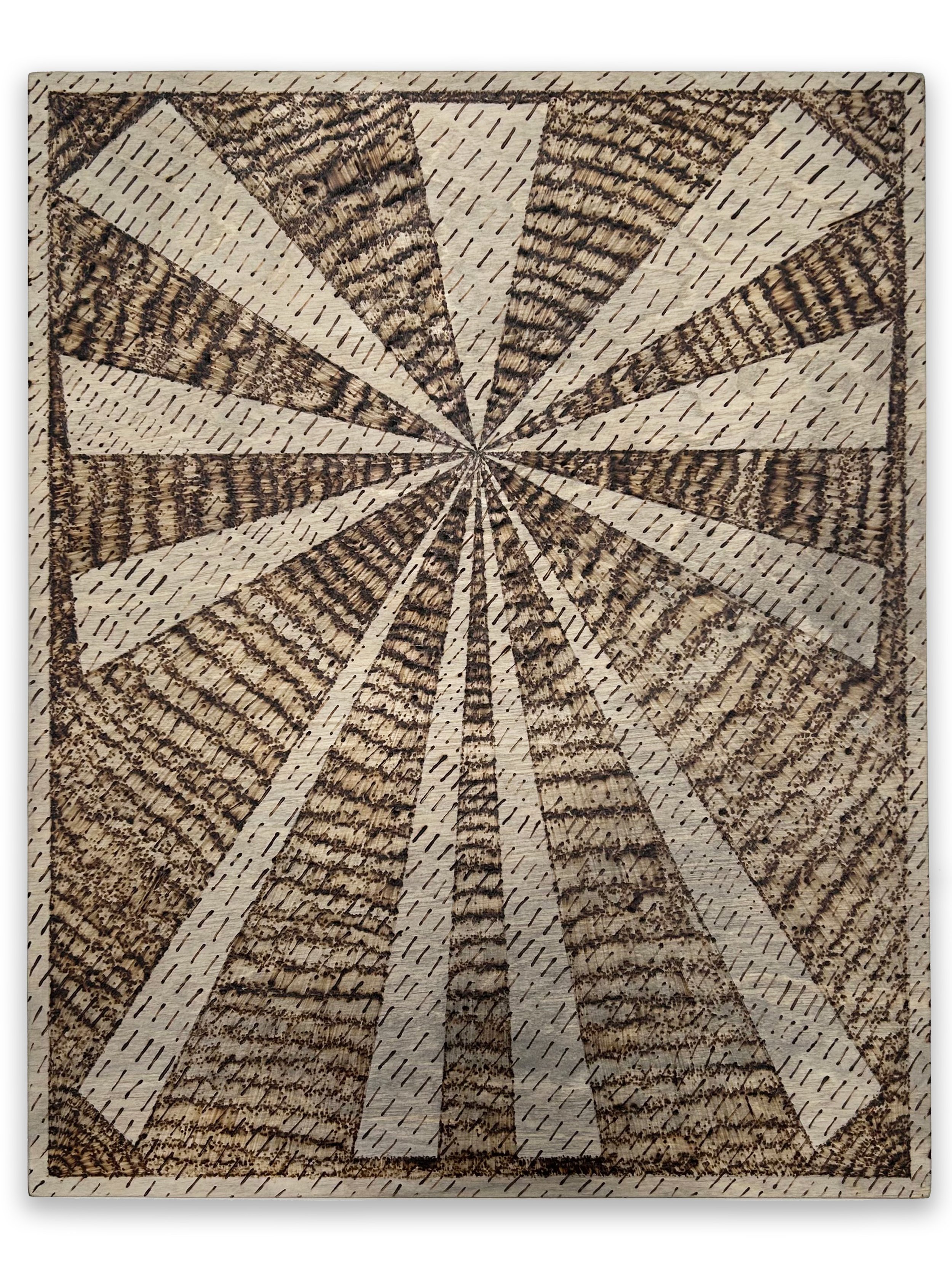 "Thorn" pyrography and graphite on wood panel, 14" x 11" x  7/8", 2024