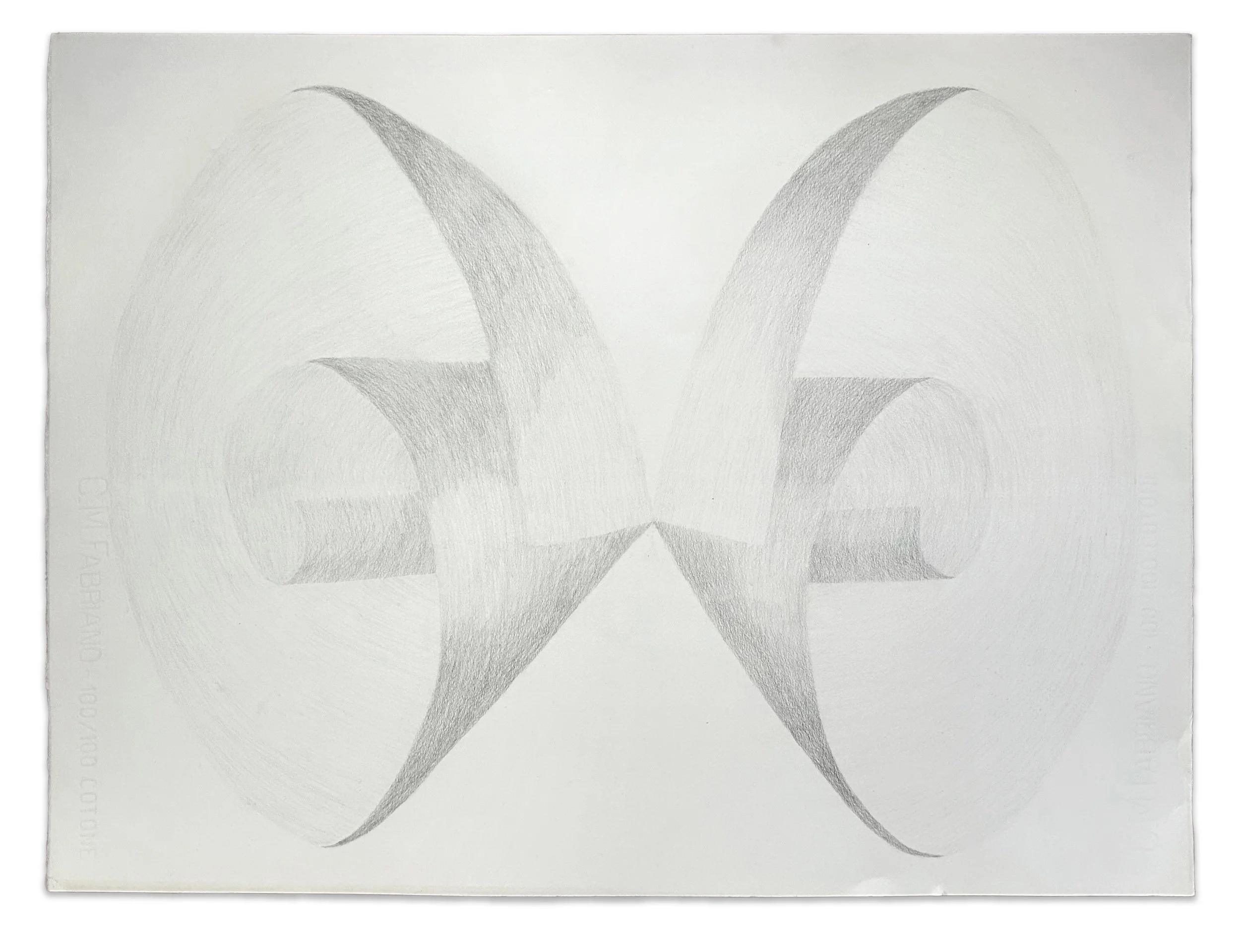 "Conch", graphite on paper, 20 1/2" x 27", 2024