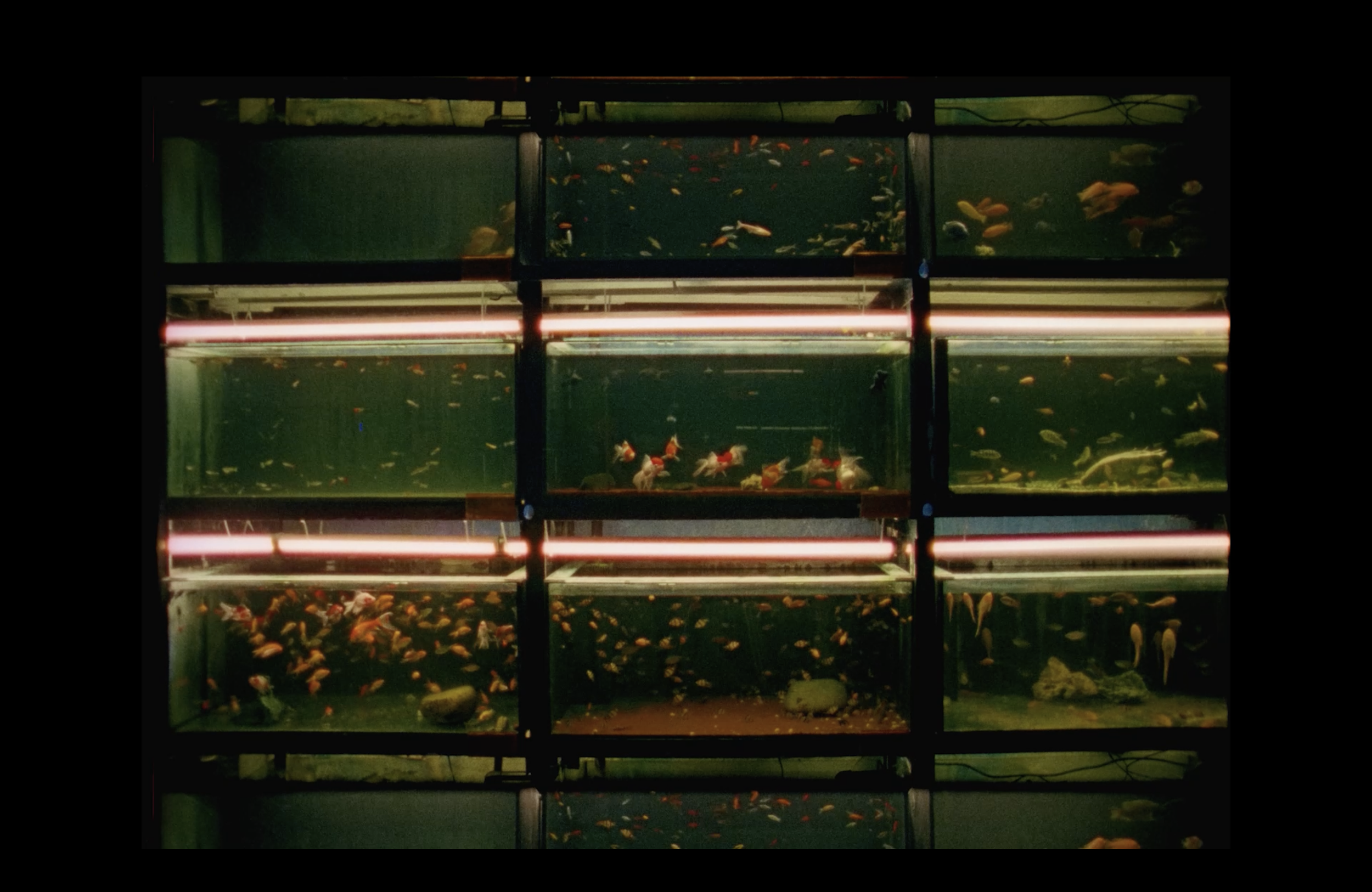 Screenshot 2026-03-07 at 02.20.24.png