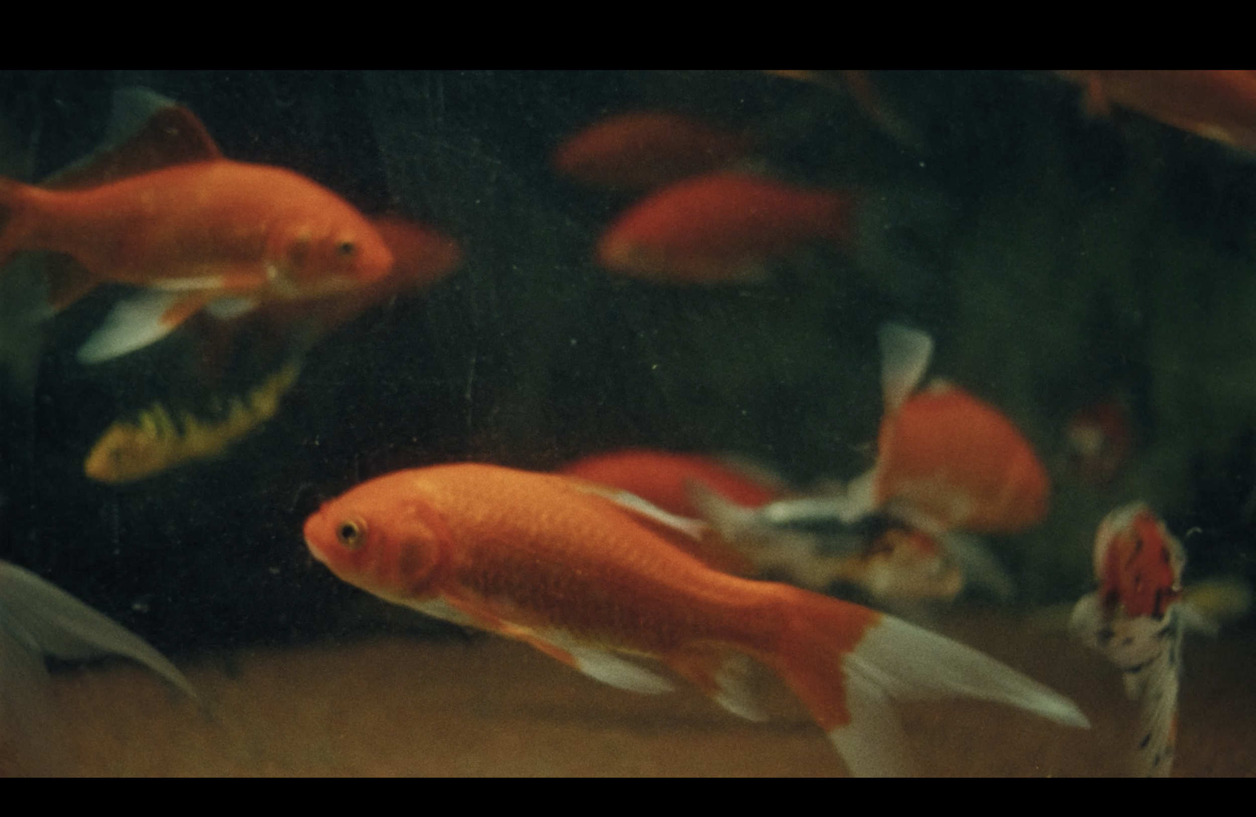 Screenshot 2026-03-07 at 02.01.17.png