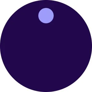 A dark circle with a small light purple circle near the top edge.