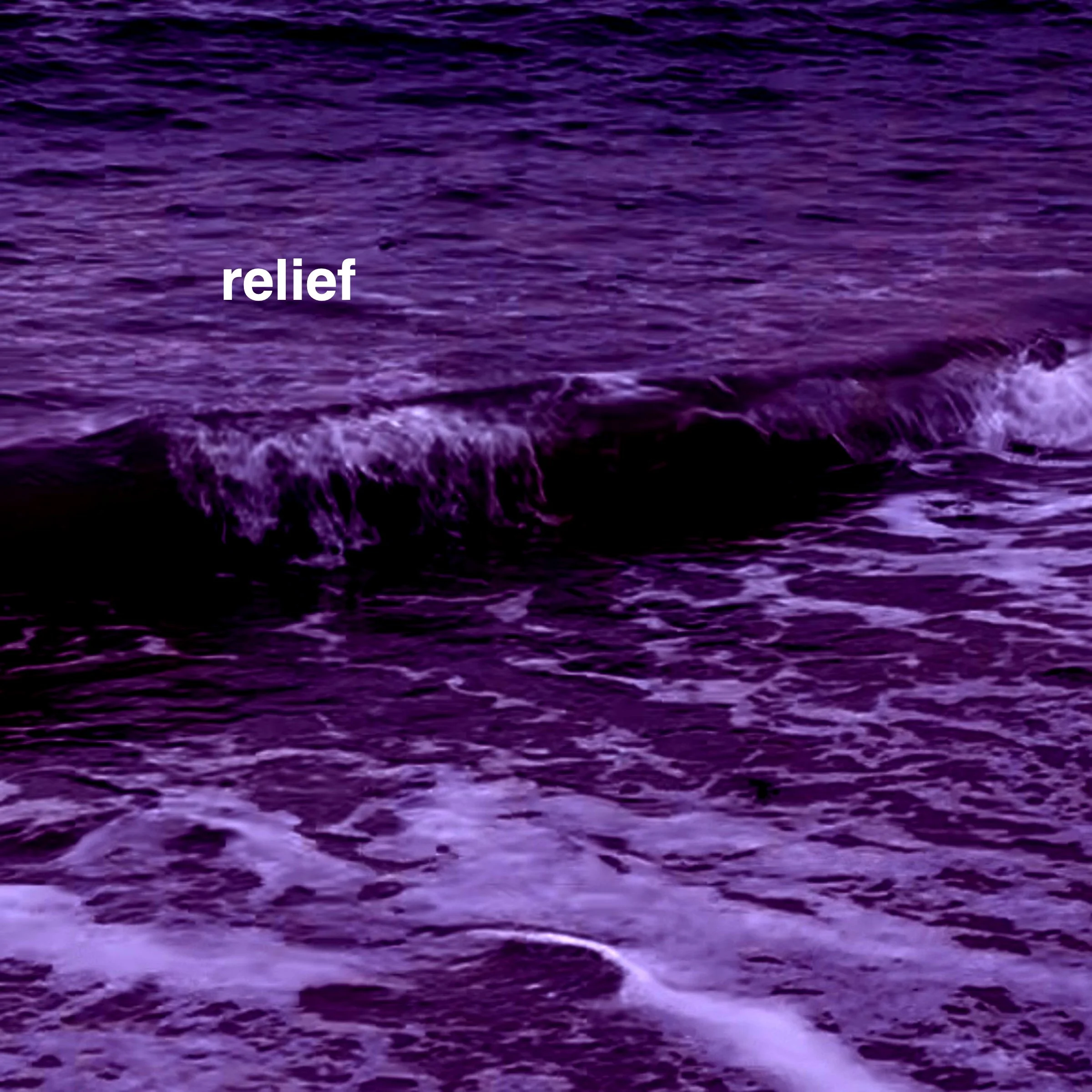 Zine Photos Cover.jpg