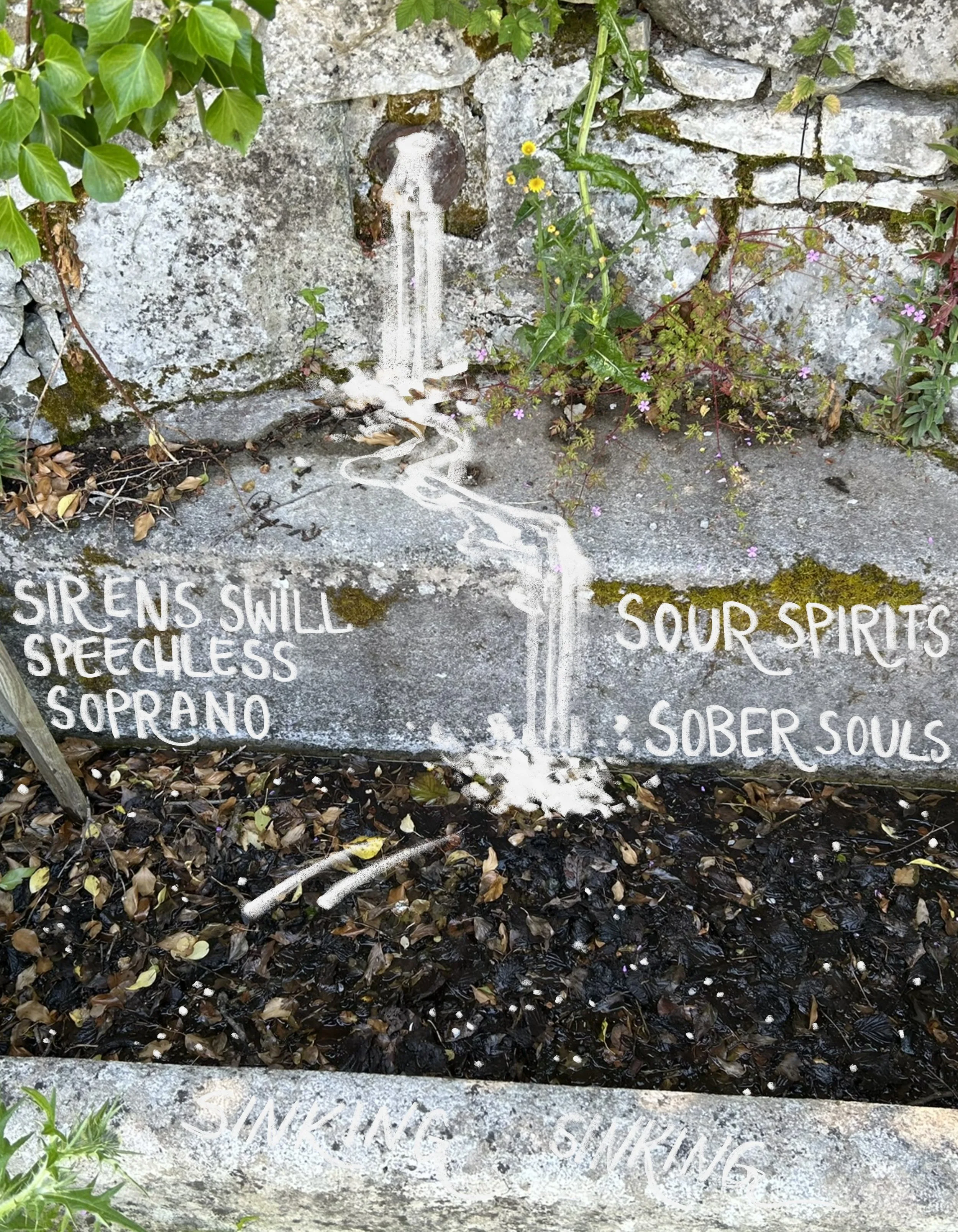 Dog Days 4:8 water.jpg