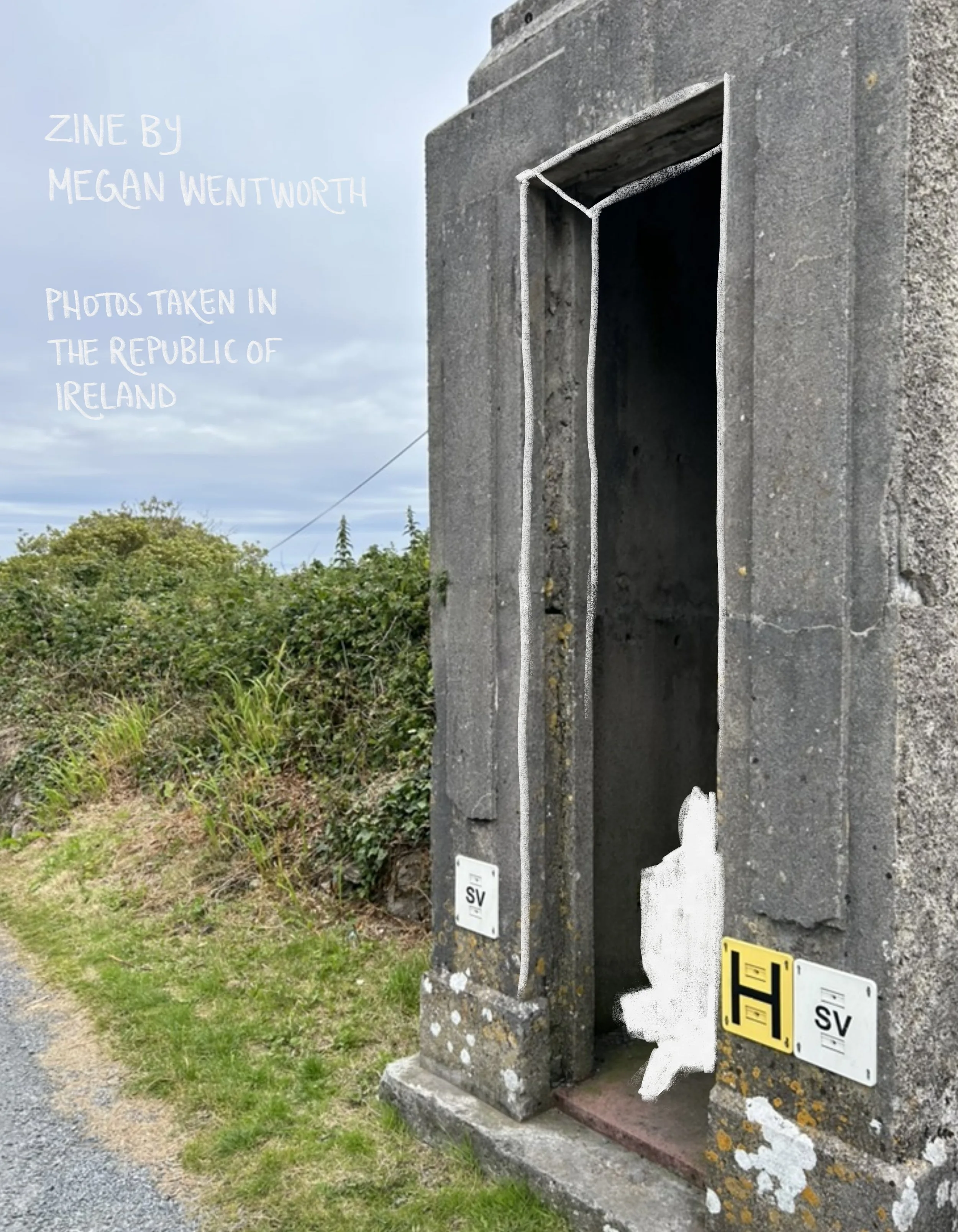 Dog Days 4:8 back.jpg