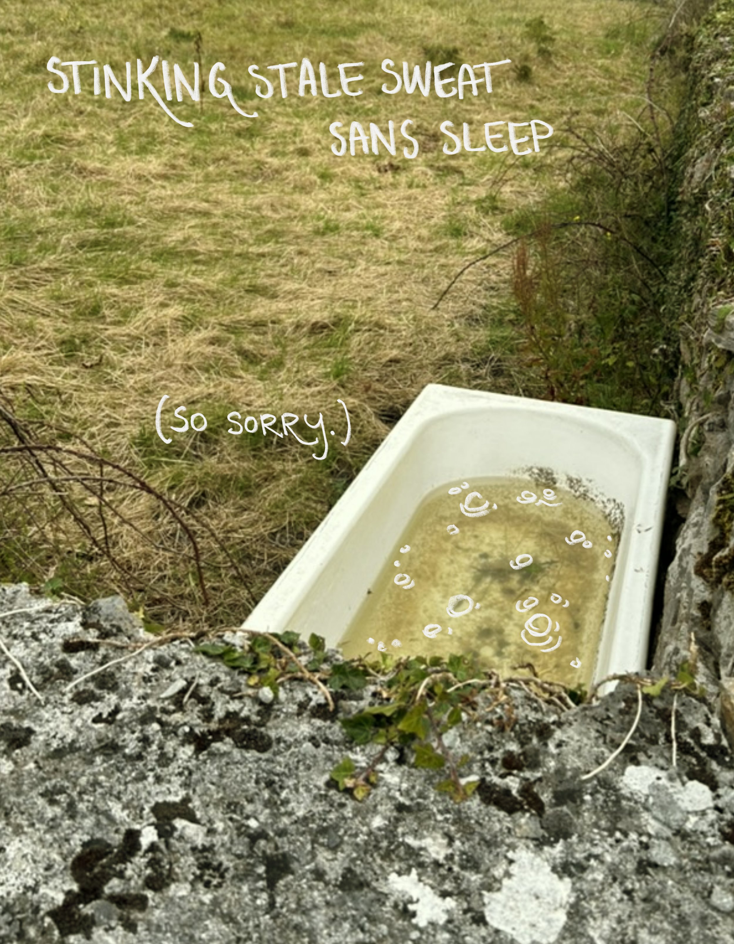 Dog Days 4:8 bath.jpg