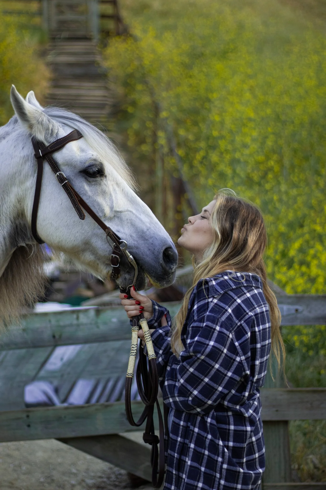 Lauren and Guapo-139.jpg