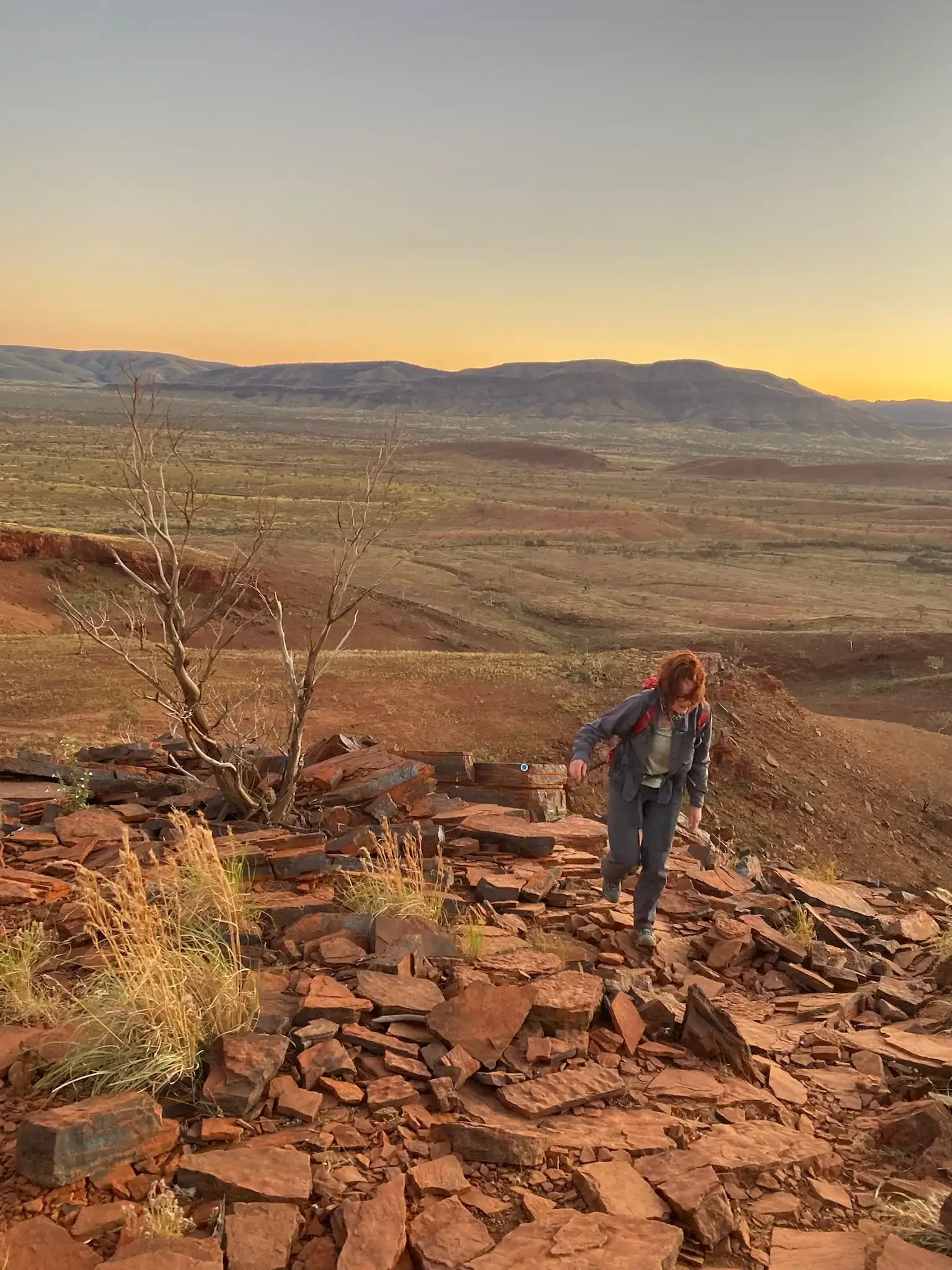 A person with a backpack walking up a rocky hill in a desert landscape at sunset, with distant mountains in the background and a dry tree in the foreground.