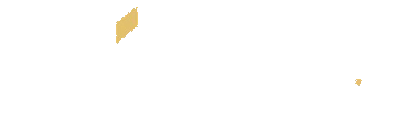 3N Inc. 