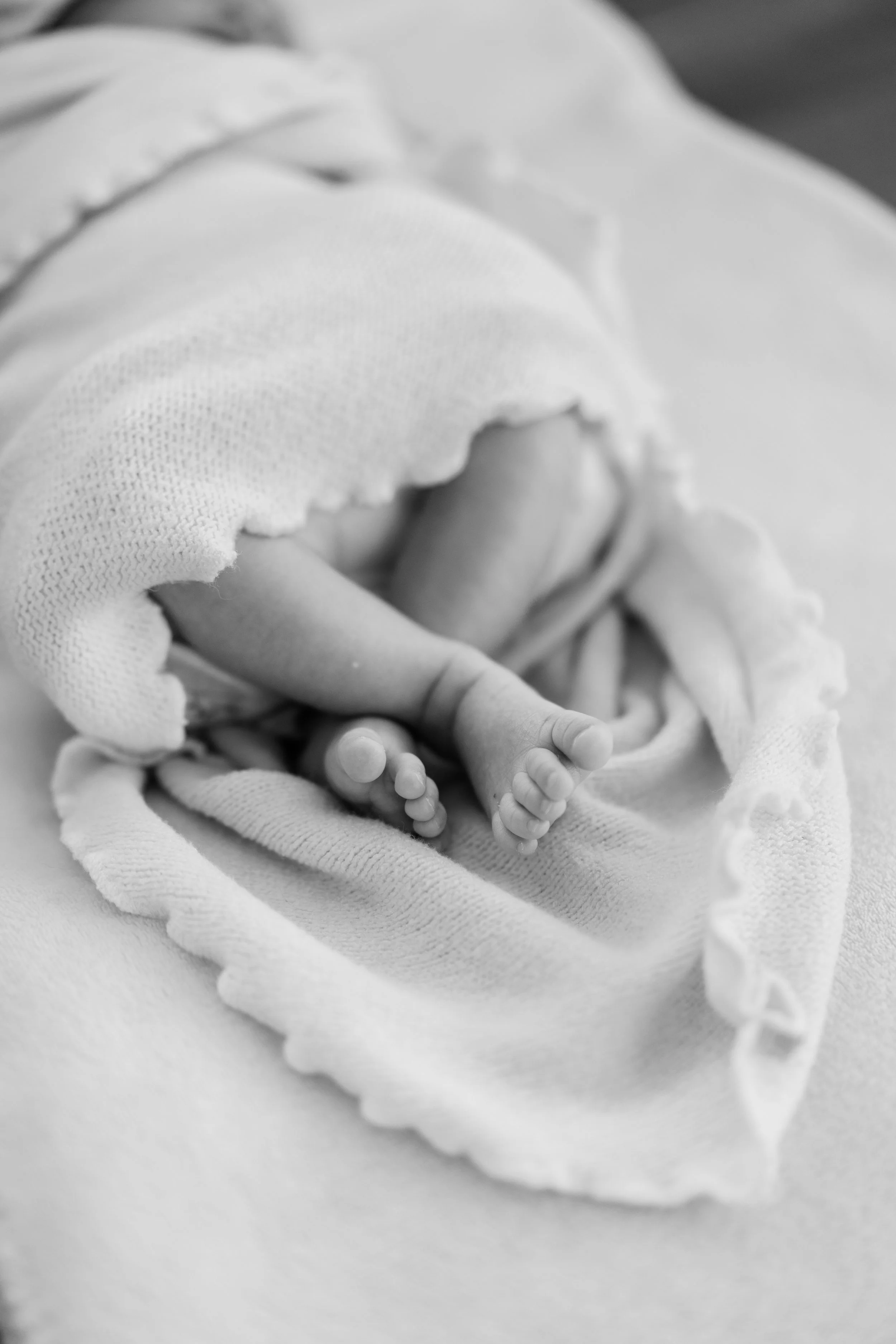 Black and white photo of a newborn baby's tiny feet and hand, partially wrapped in a soft blanket.
